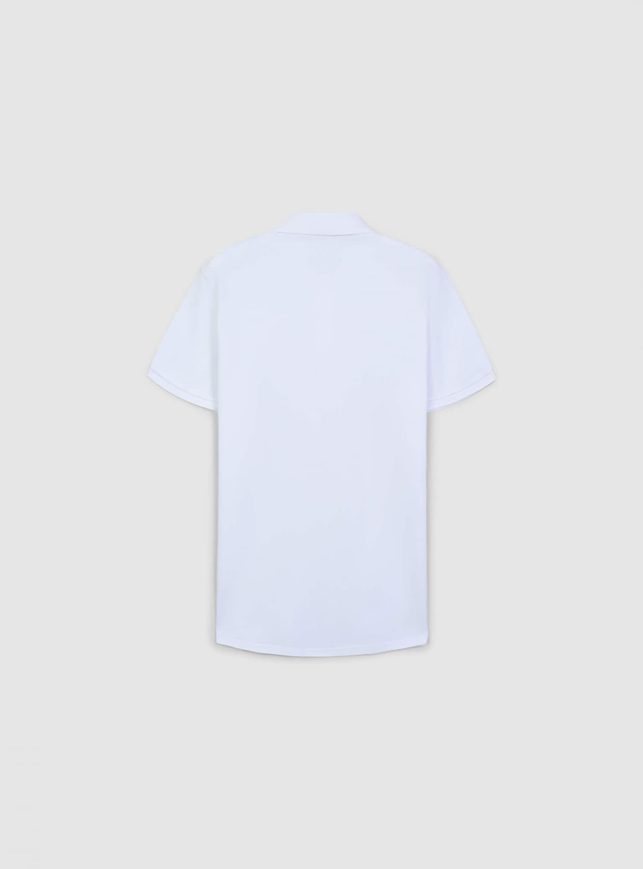 T-Shirt MC Herren Terranova