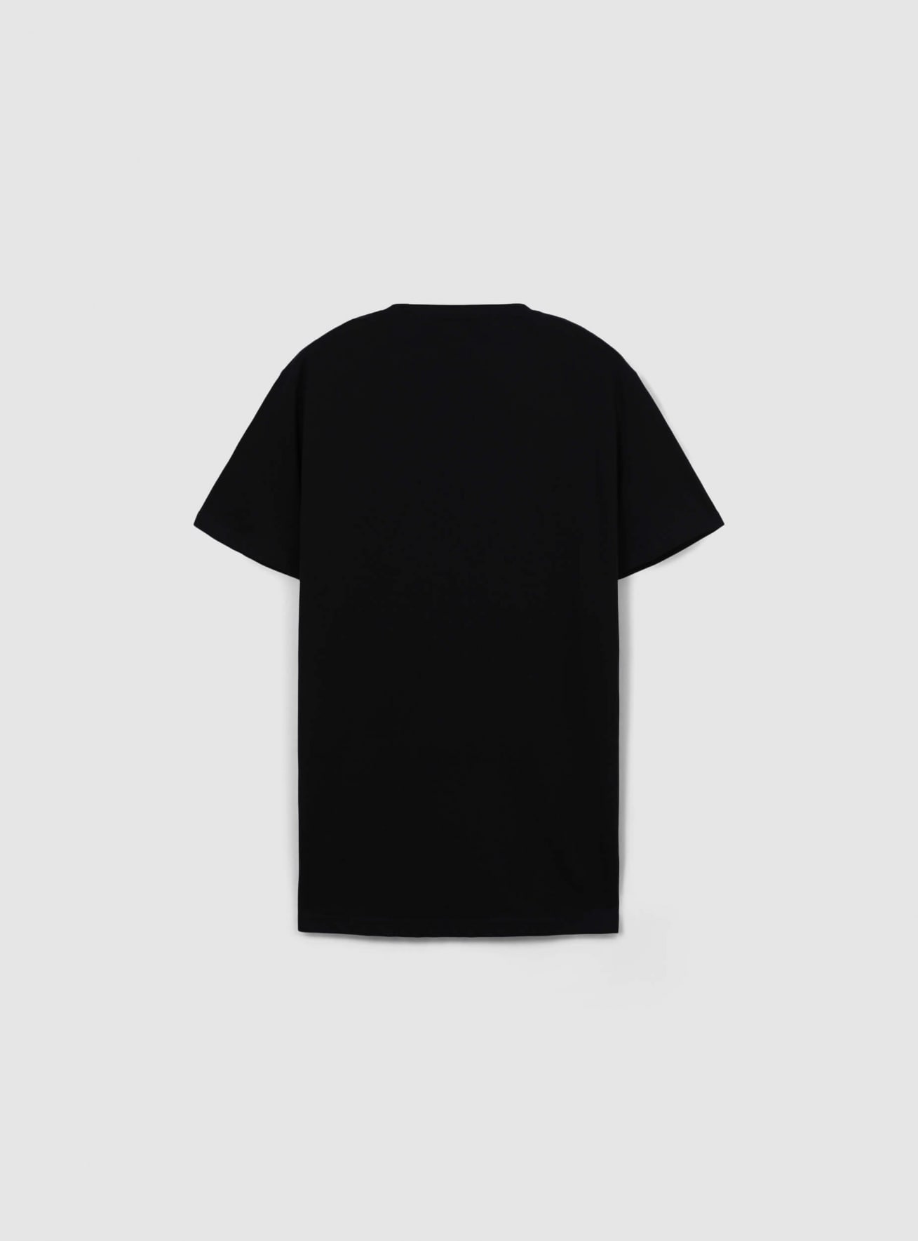 T-Shirt MC Homme Terranova