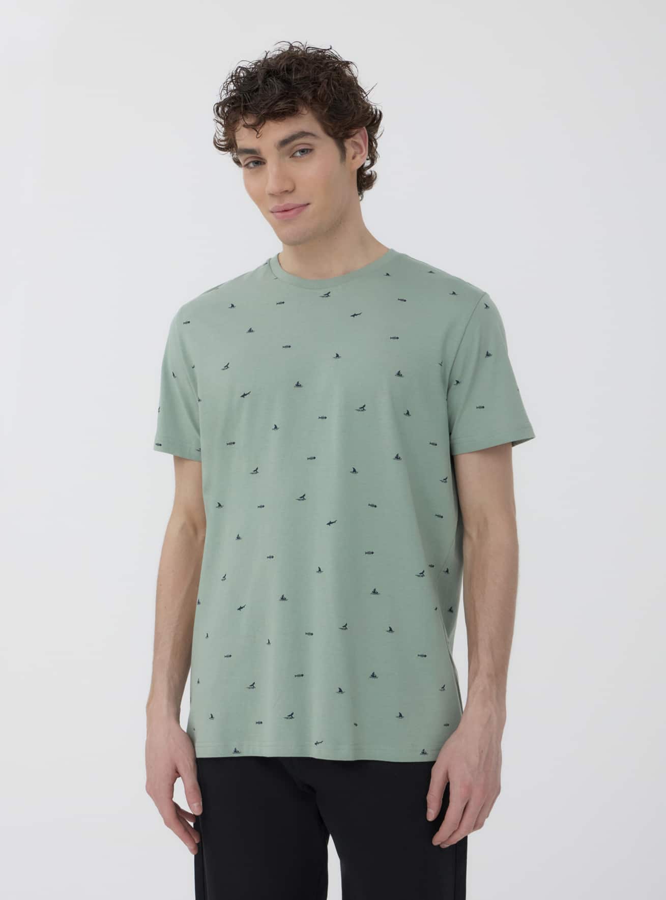 T-Shirt MC Herren Terranova