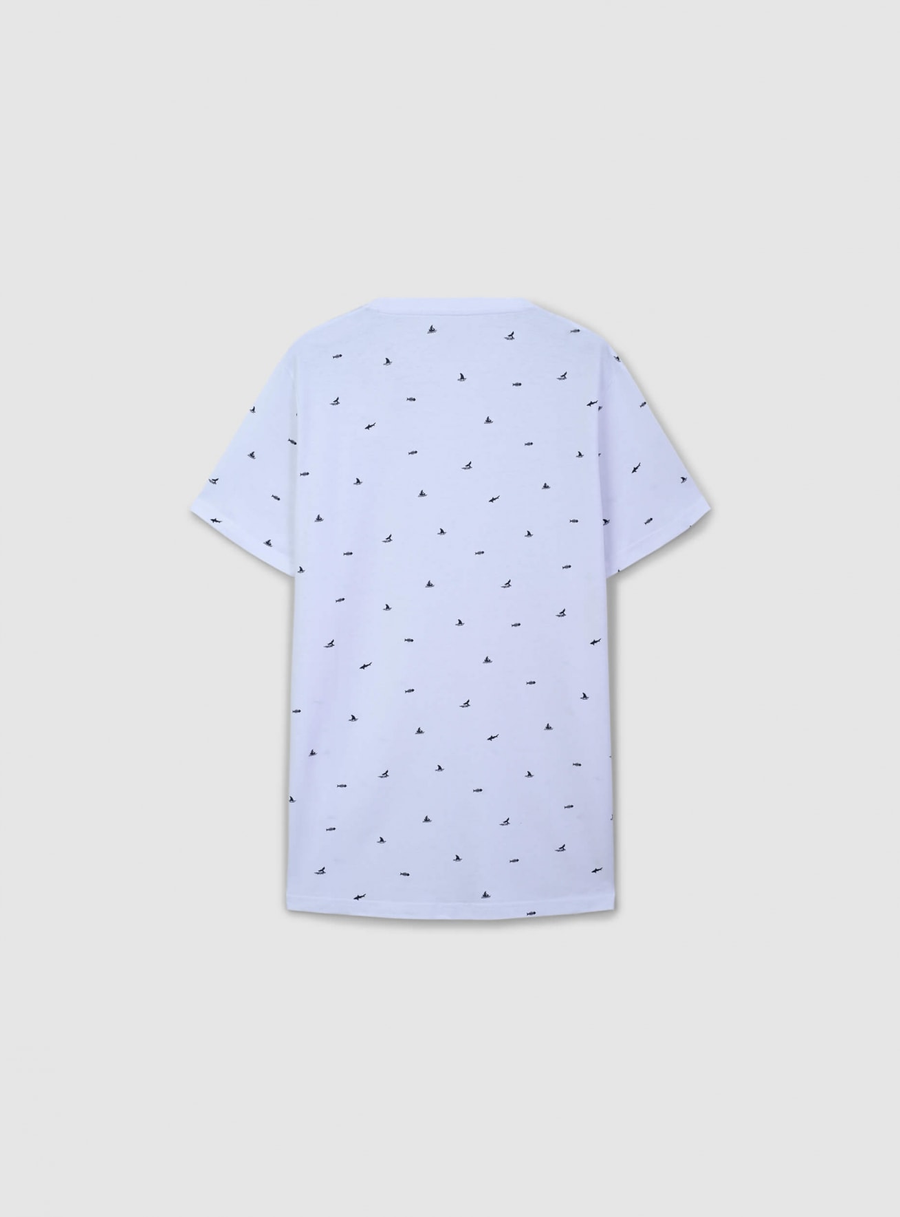 T-Shirt MC Uomo Terranova
