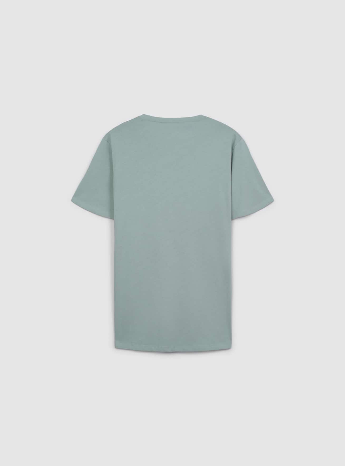 T-Shirt MC Uomo Terranova