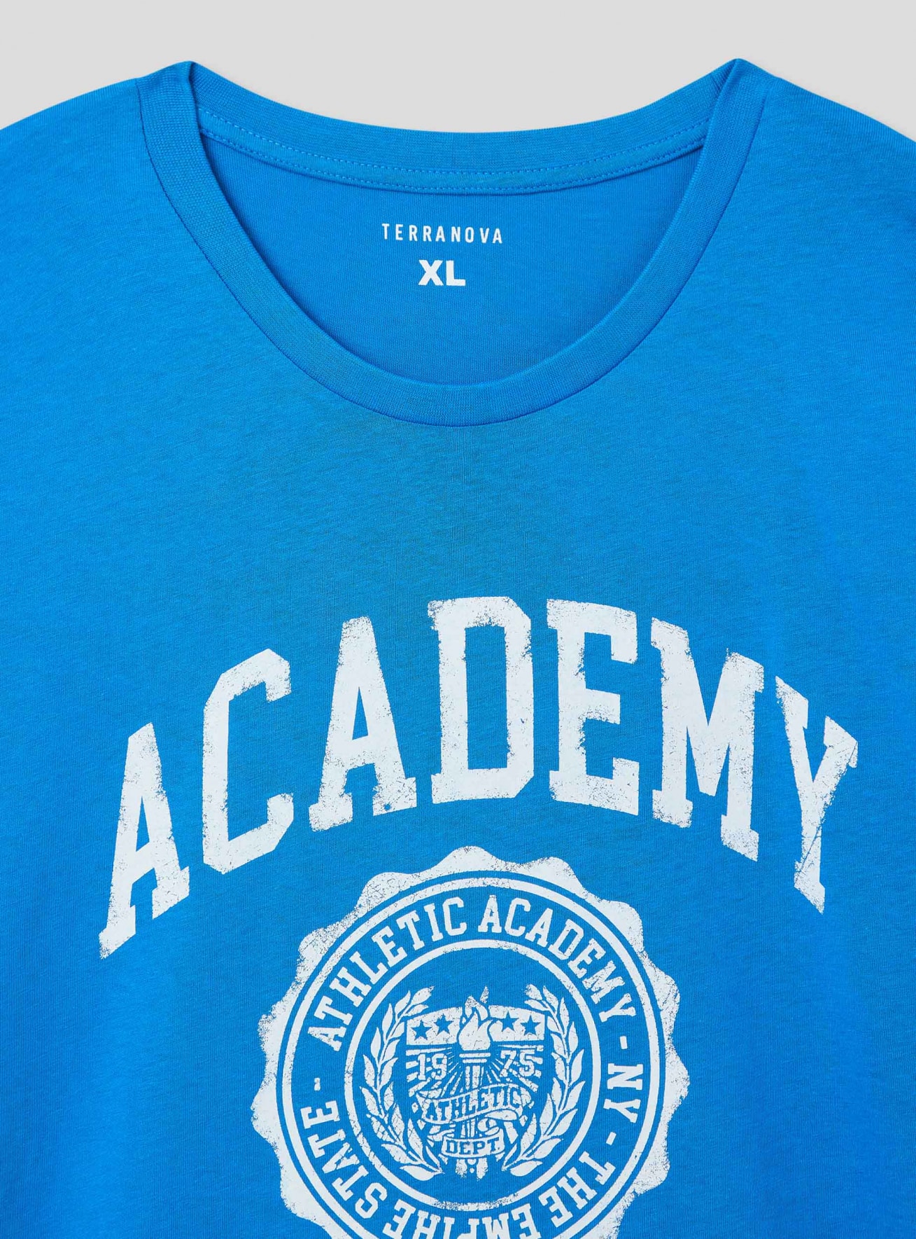 T-Shirt MC Herren Terranova