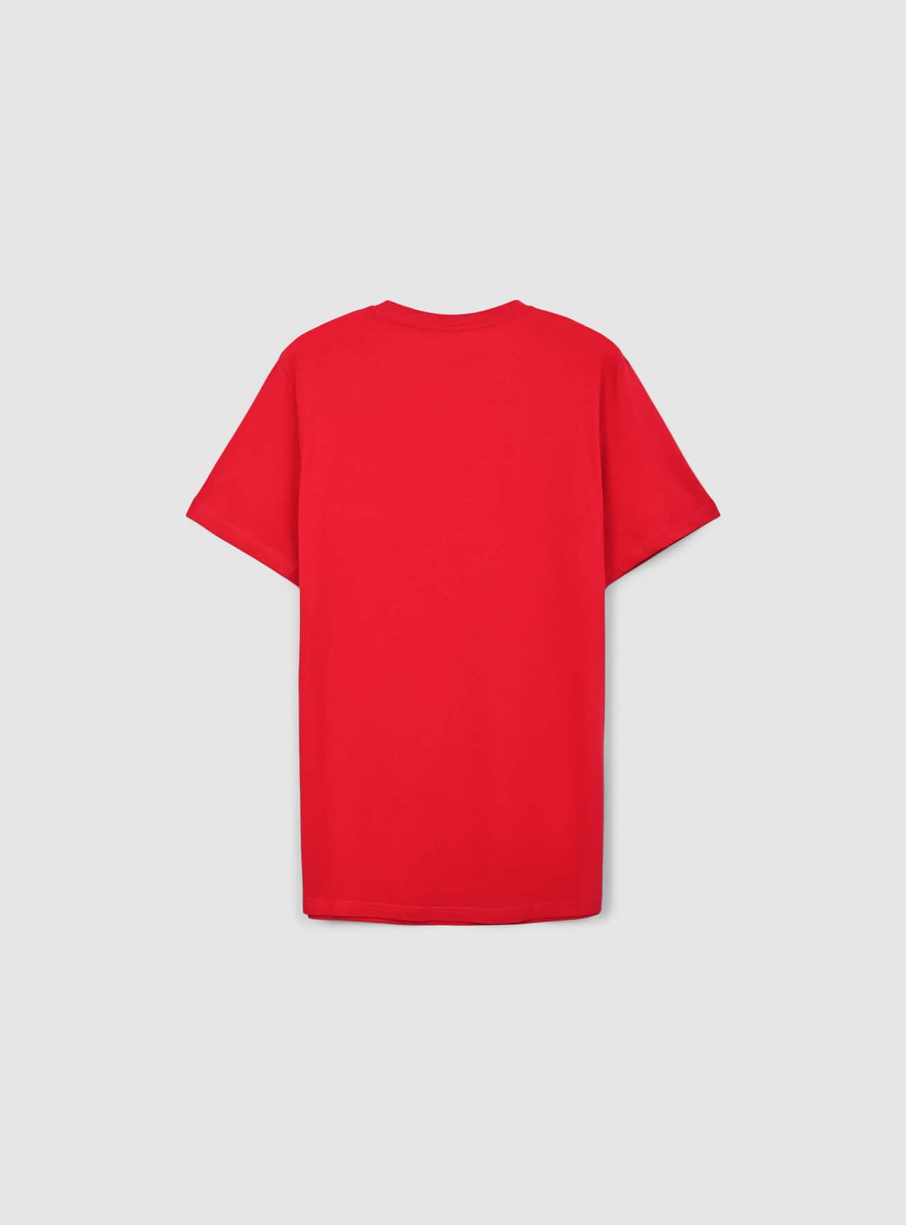 T-Shirt MC Pánské Terranova