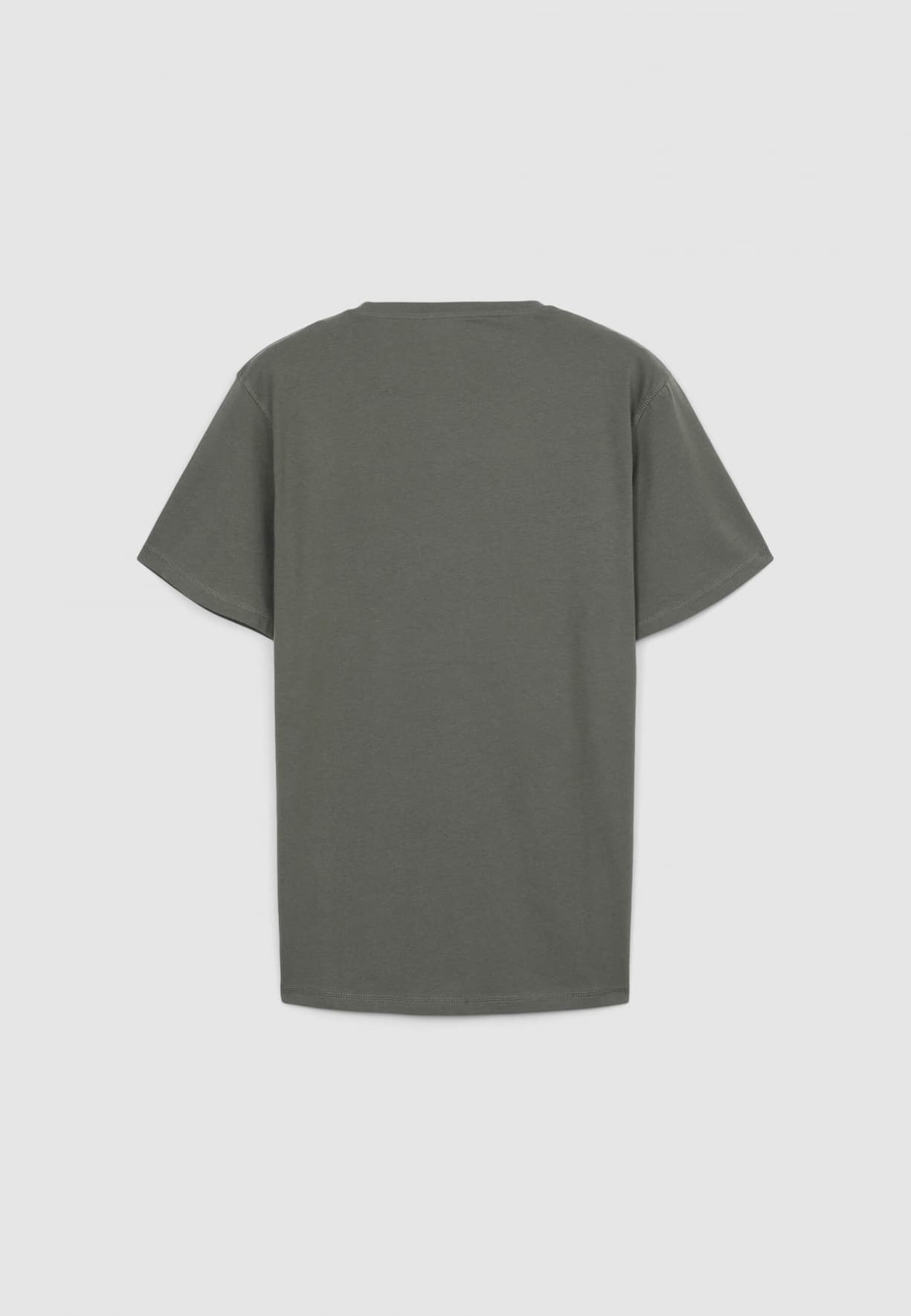 T-Shirt MC Pánské Terranova