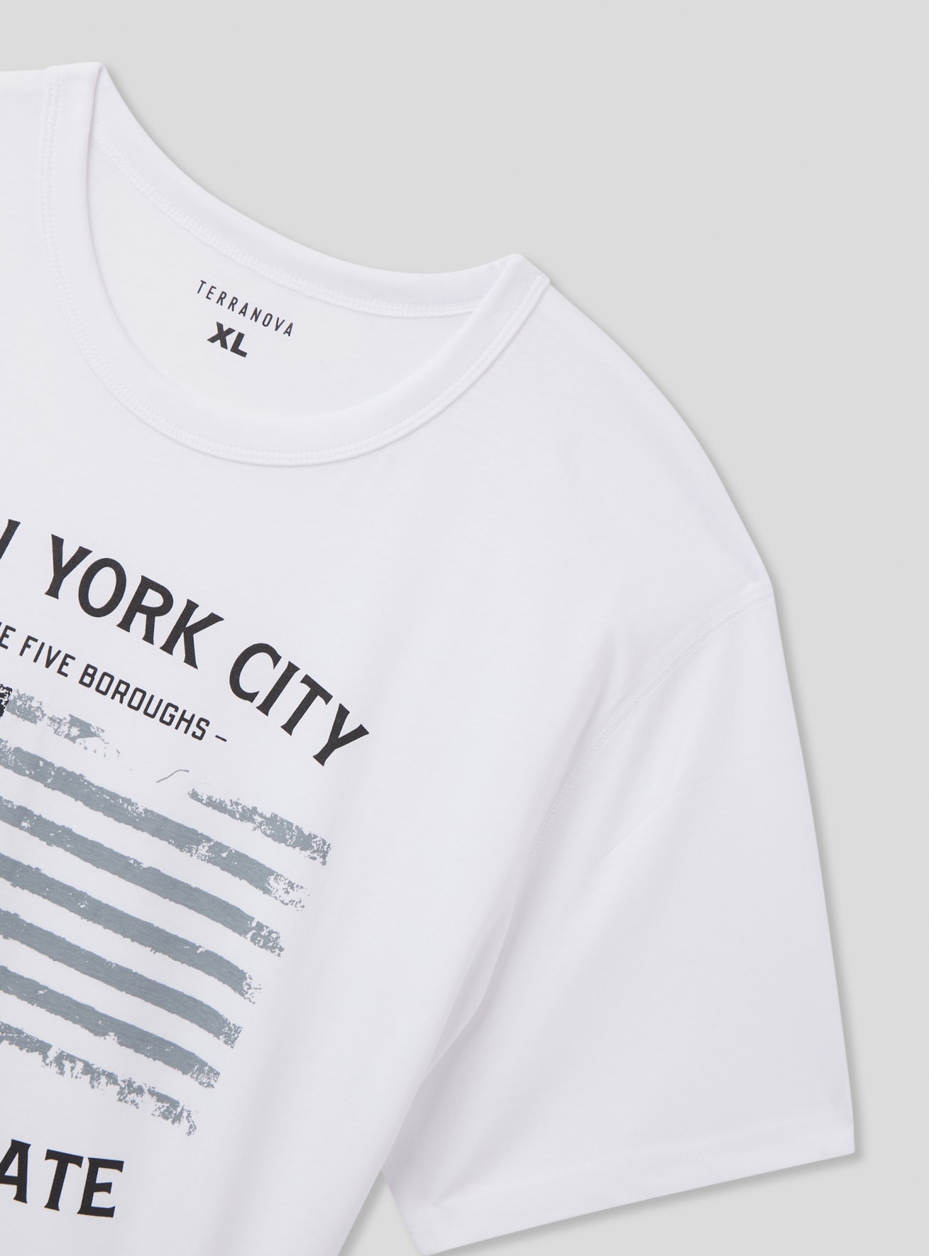 T-Shirt MC Homme Terranova