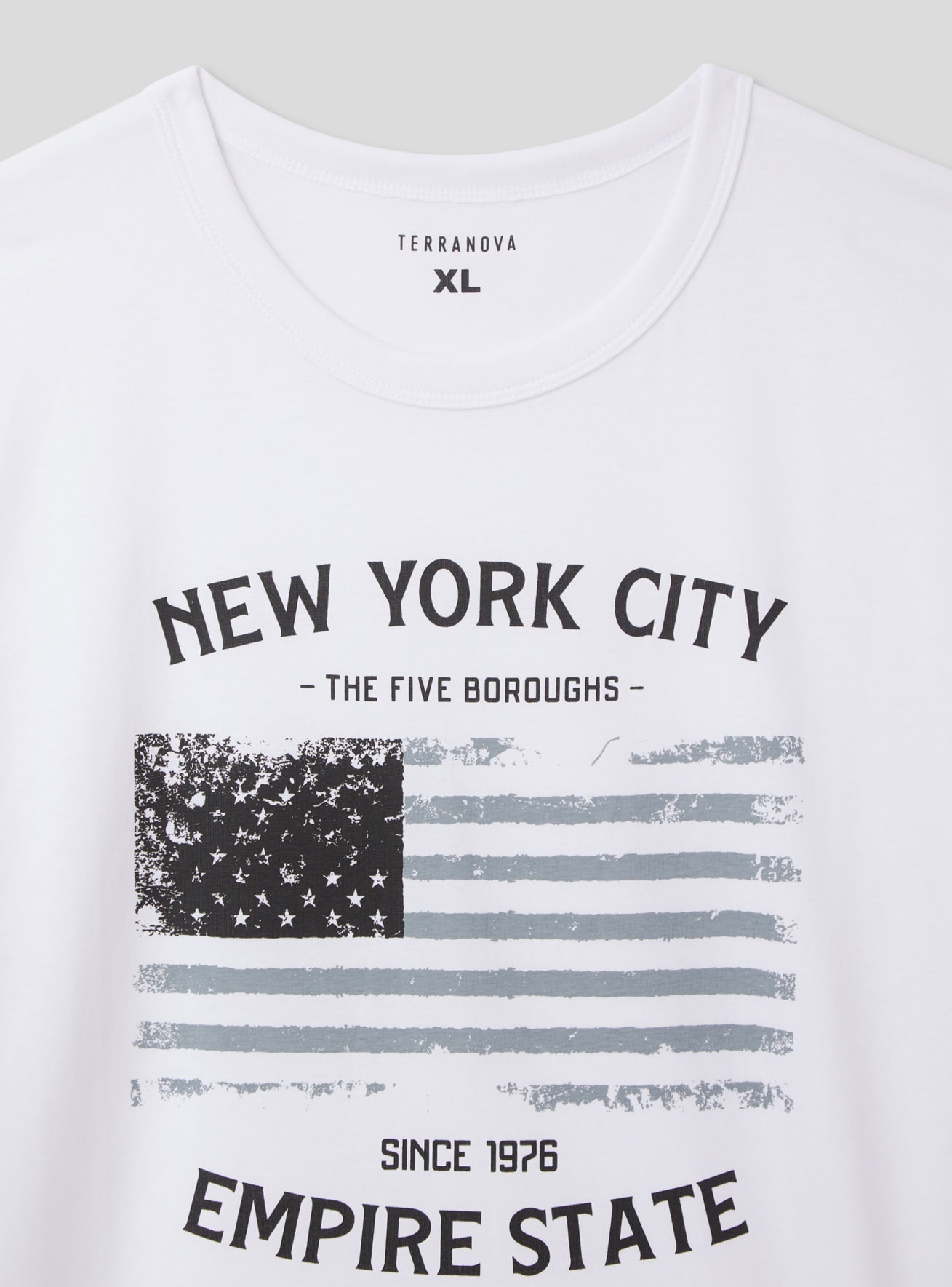 T-Shirt MC Homme Terranova