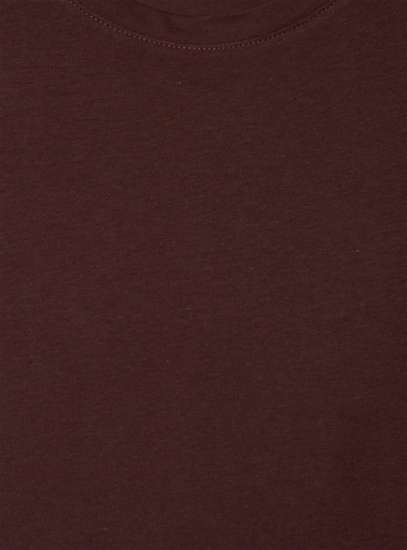 T-Shirt MC Donna Terranova