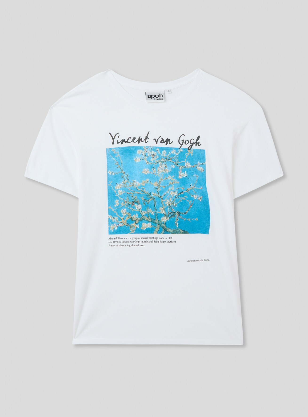 T-Shirt MC Damen Terranova