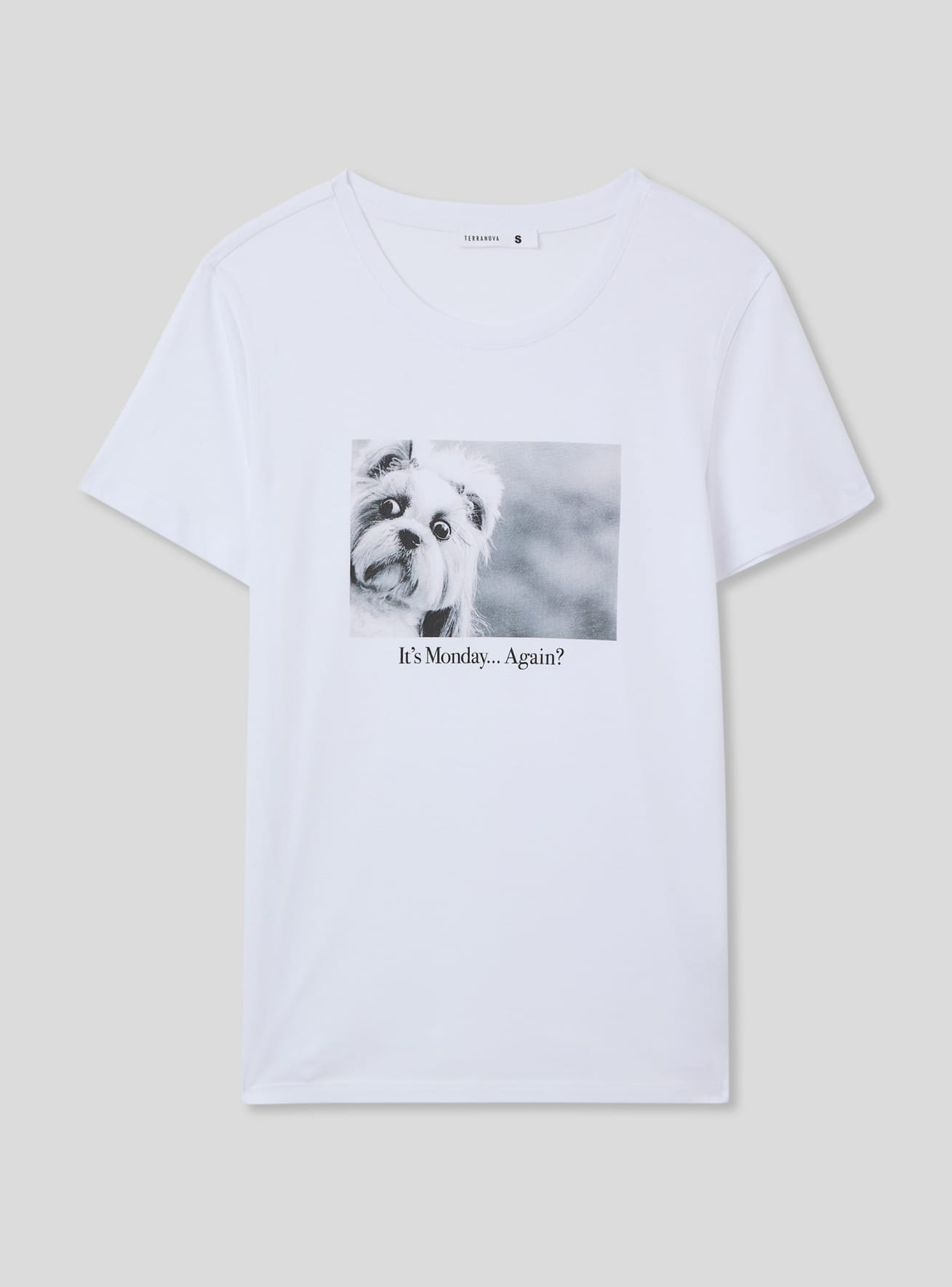T-Shirt MC Zena Terranova