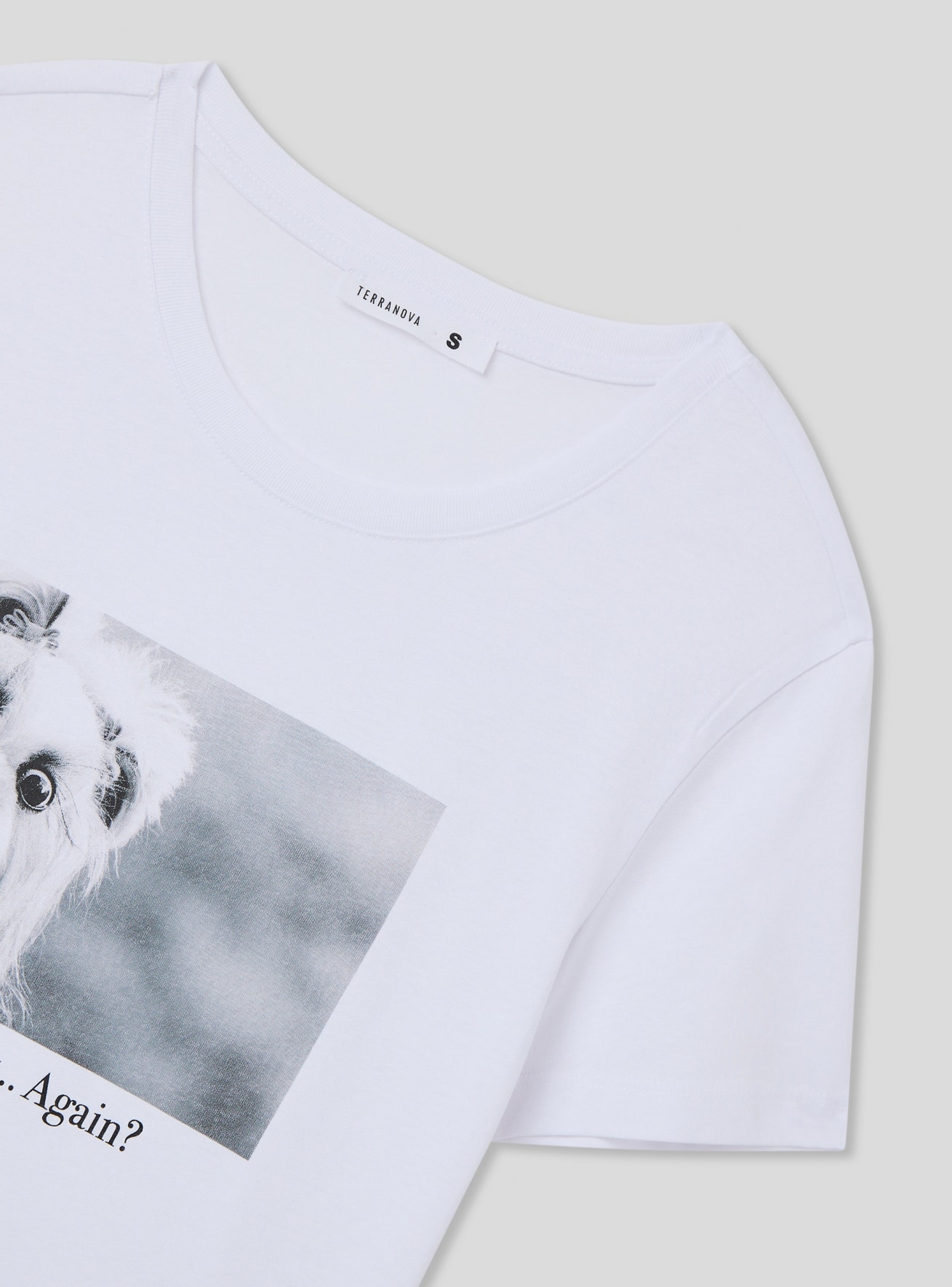 T-Shirt MC Zena Terranova