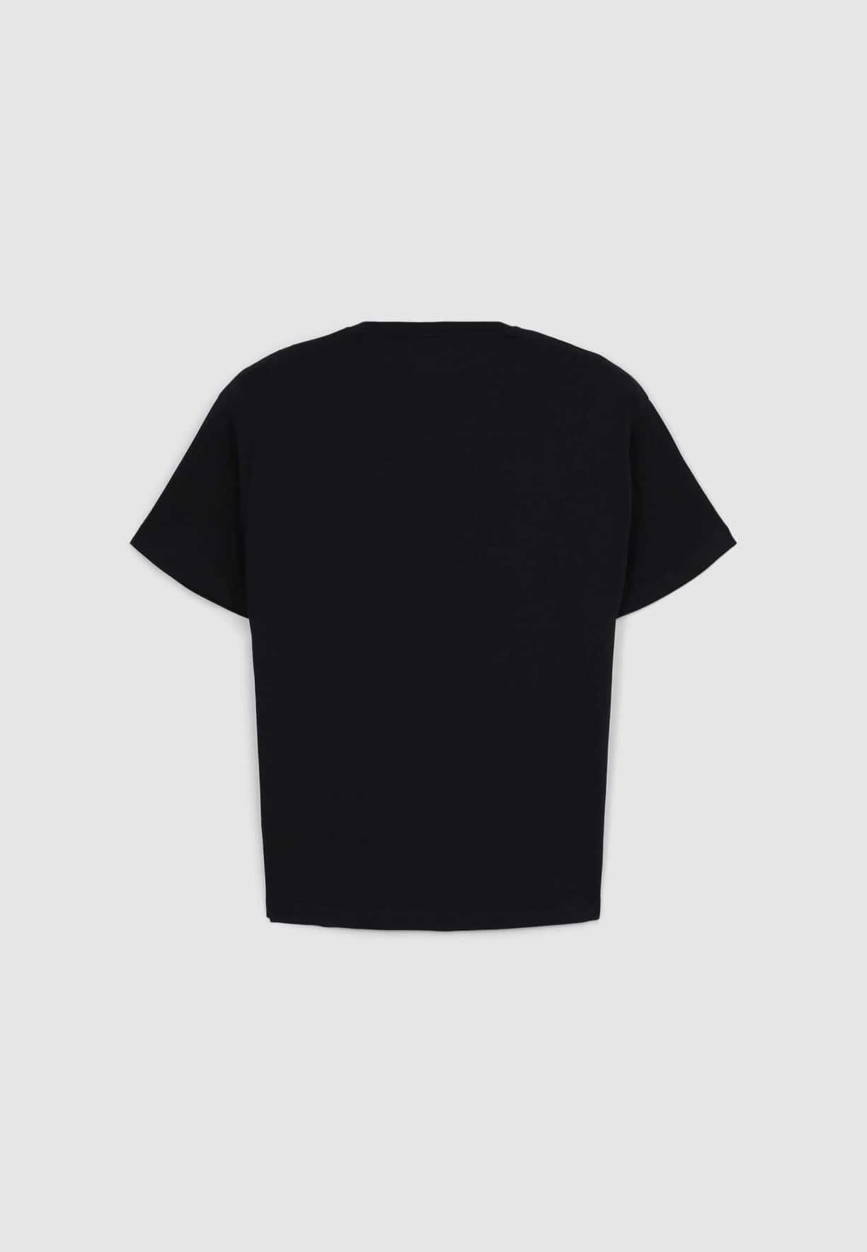 T-Shirt MC Chłopiec Terranova