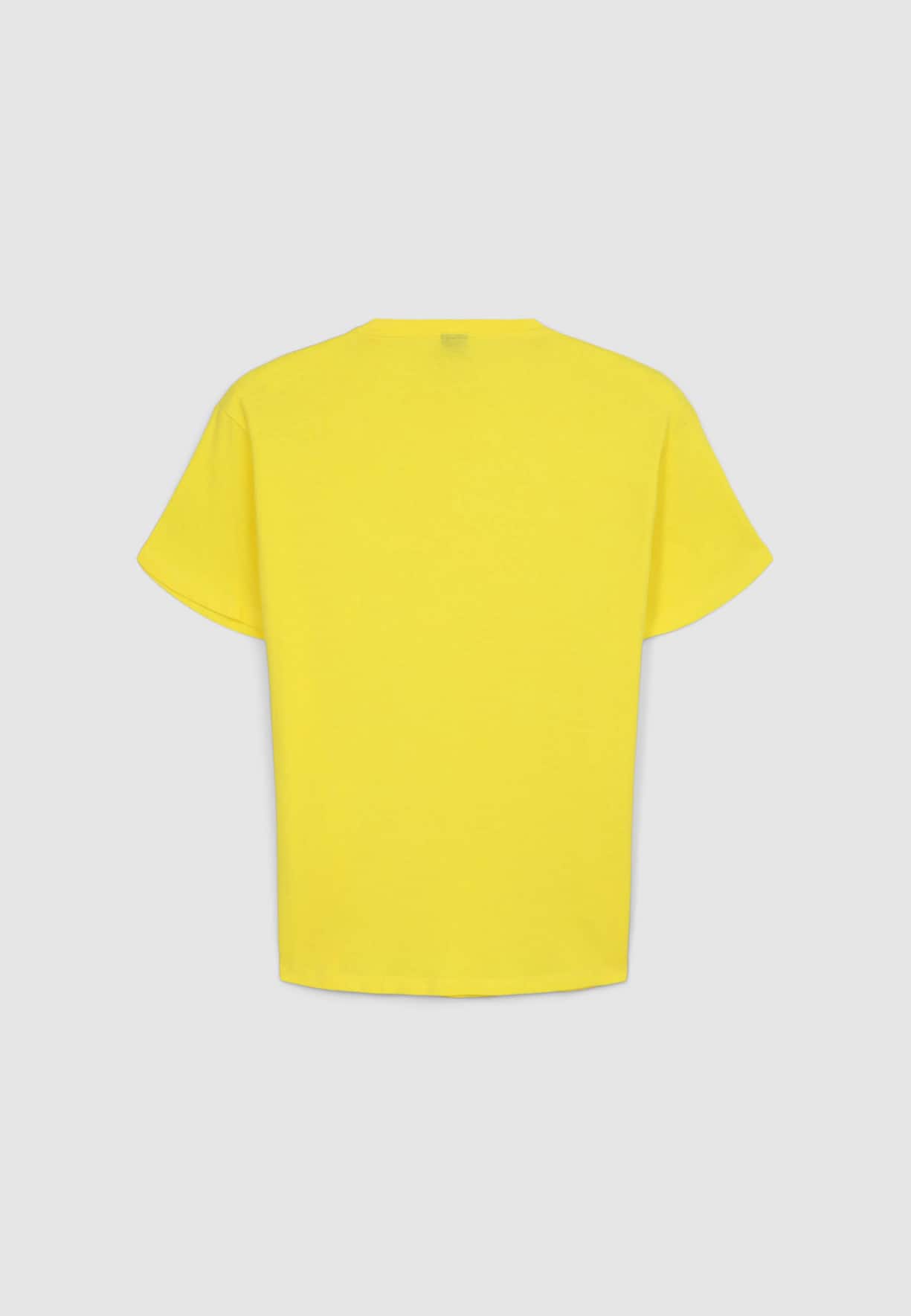 Camiseta manga corta Niño Terranova