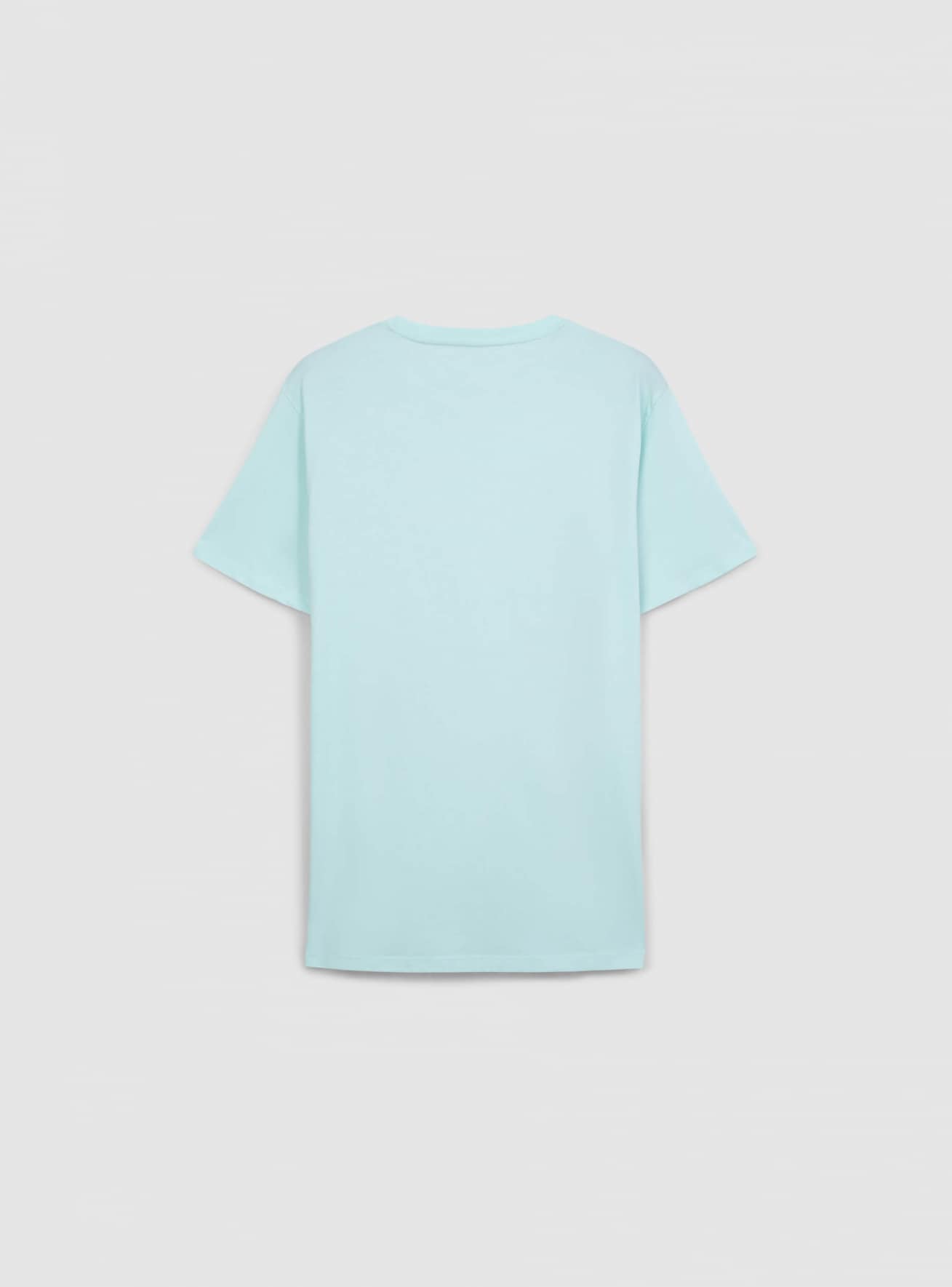 T-Shirt MC Uomo Terranova