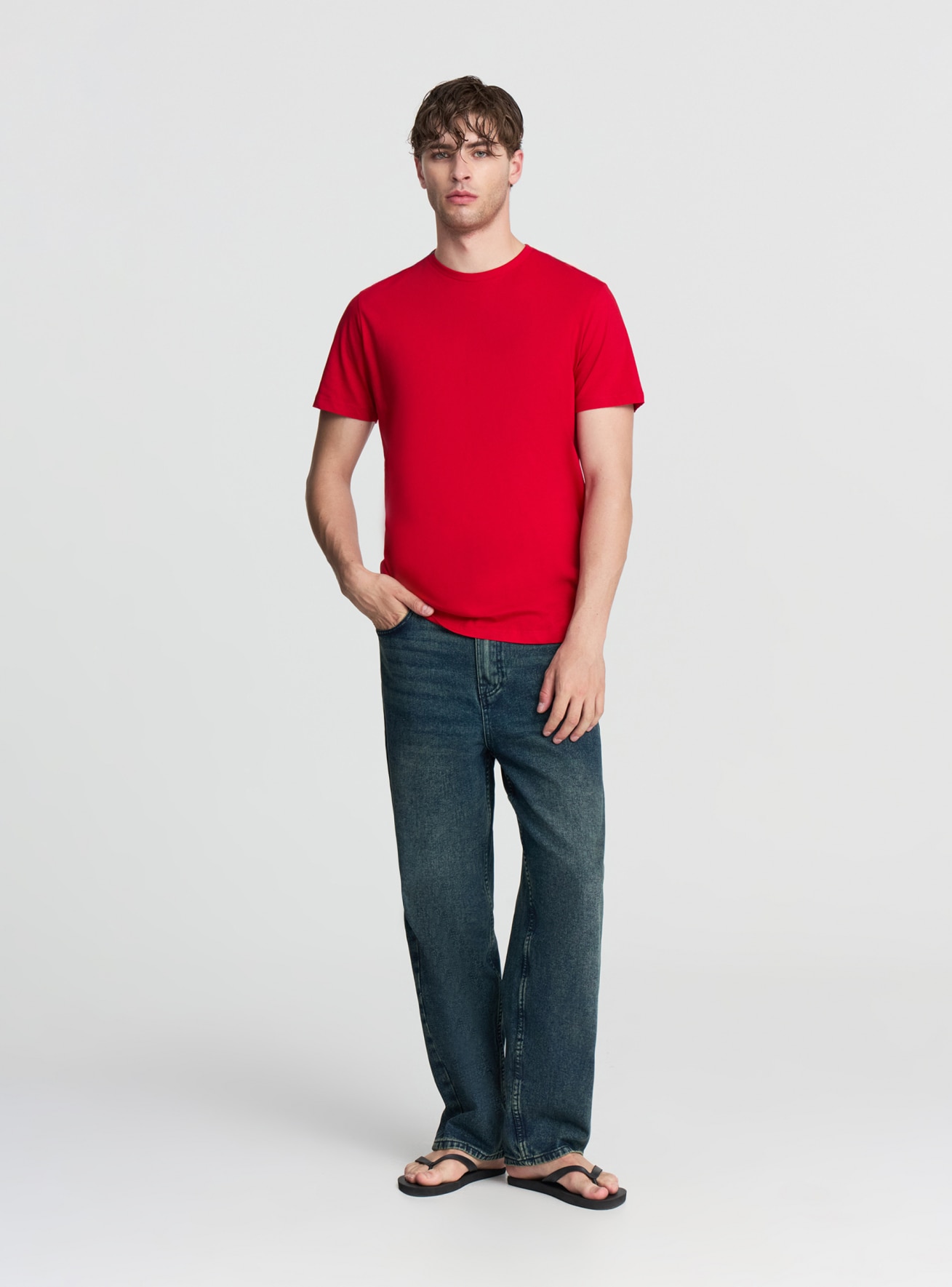 T-Shirt MC Homme Terranova