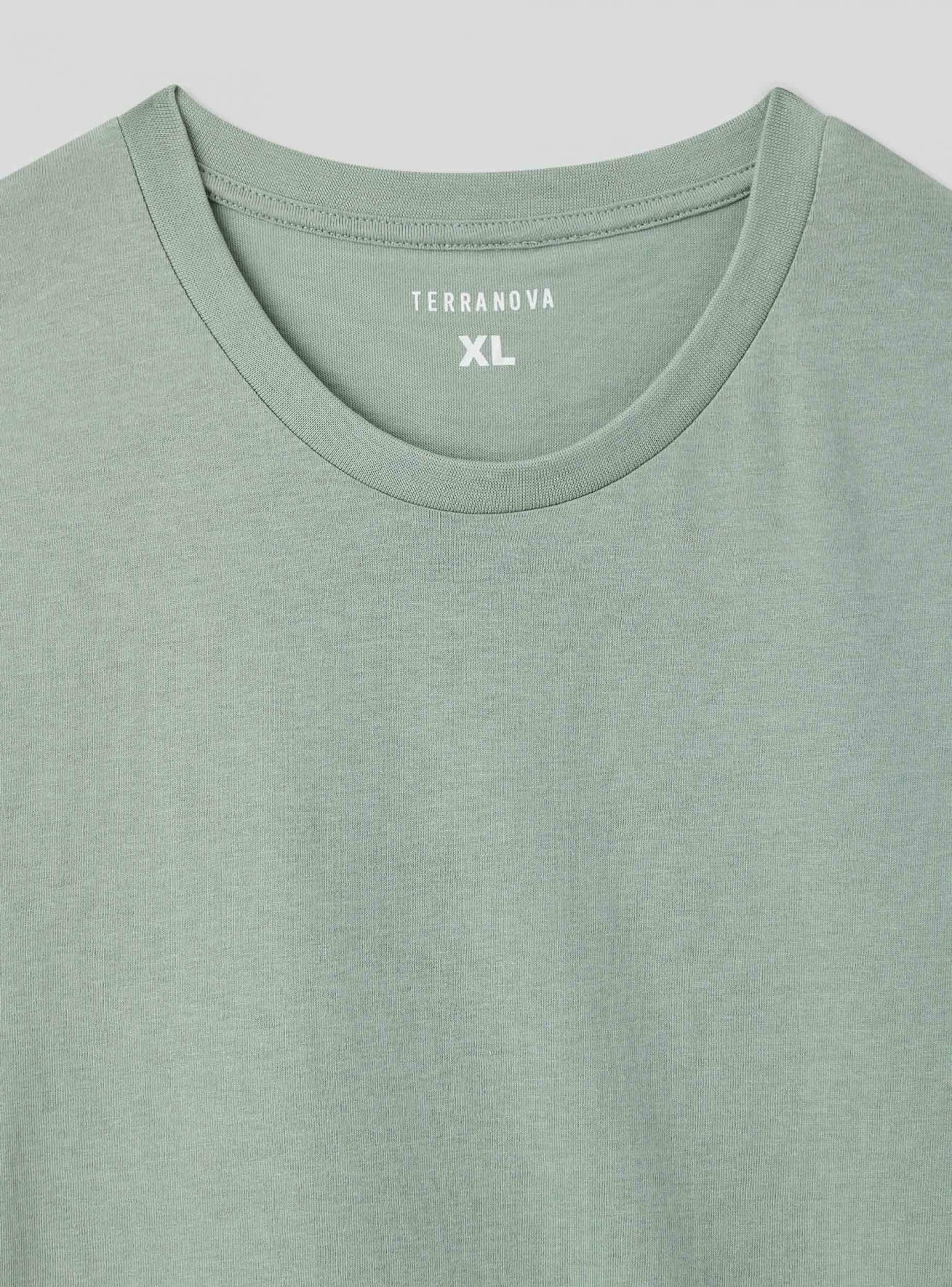 T-Shirt MC Homme Terranova
