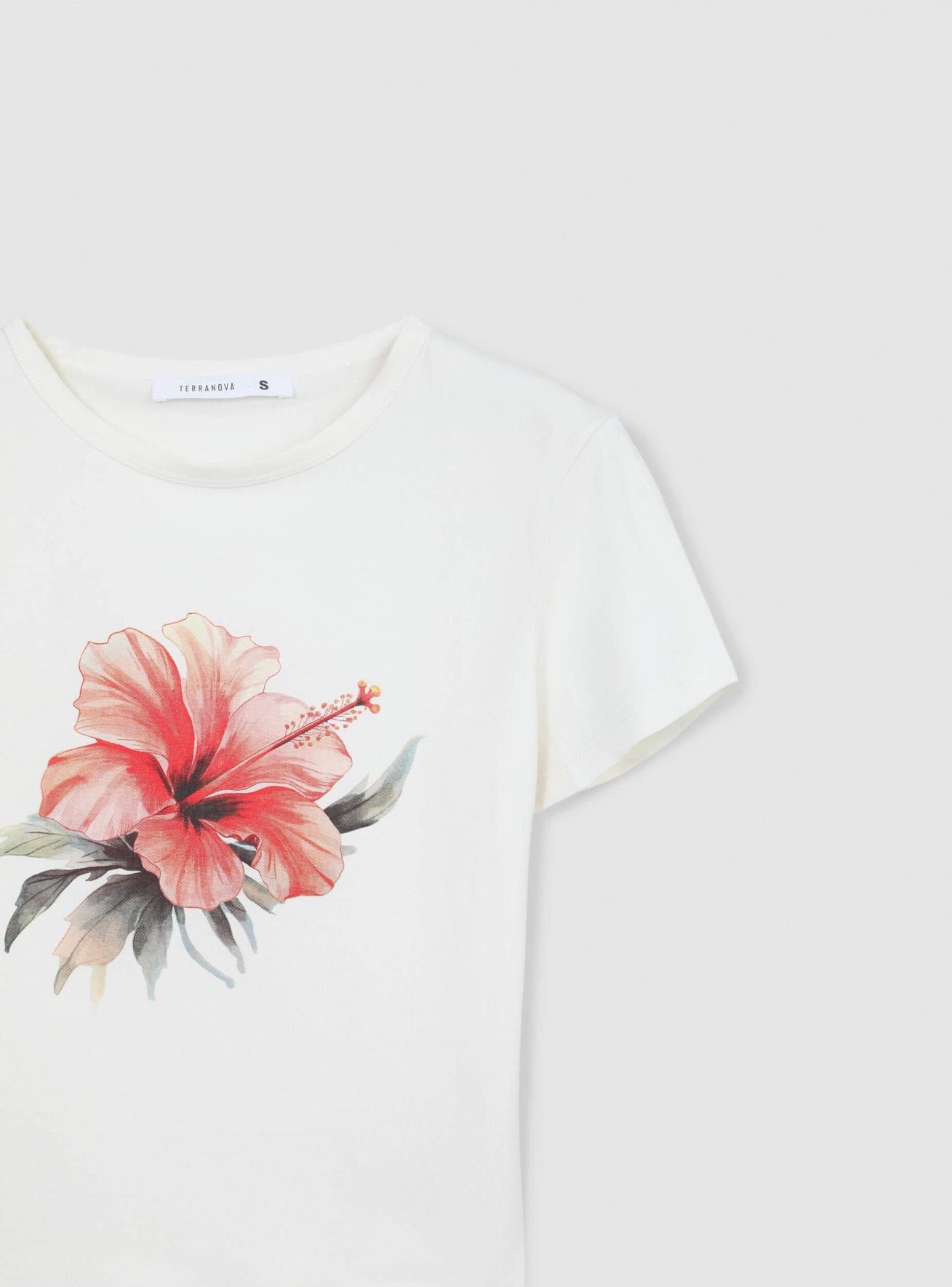 T-Shirt MC Donna Terranova