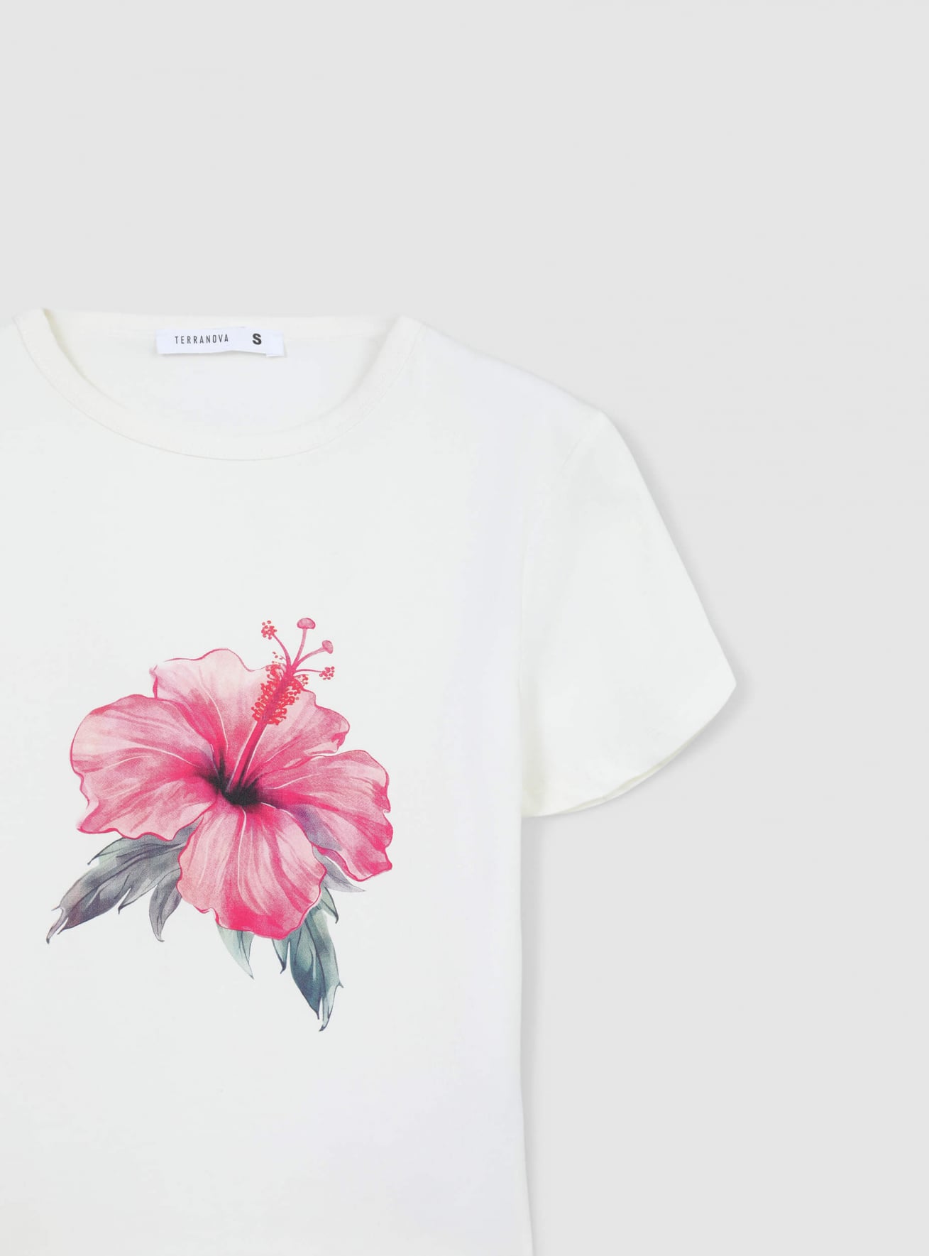 T-Shirt MC Donna Terranova