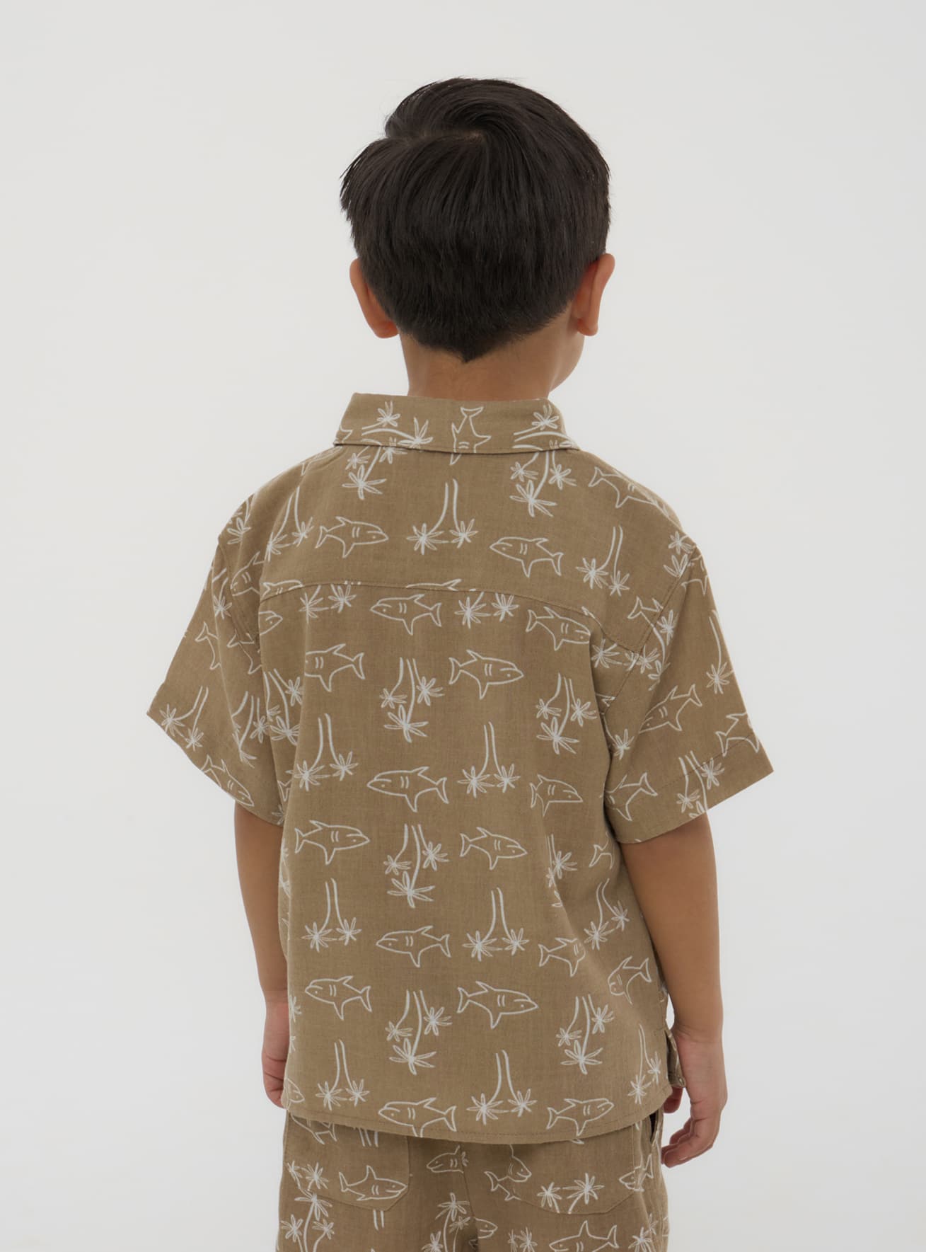 Camicia MC Junge Terranova