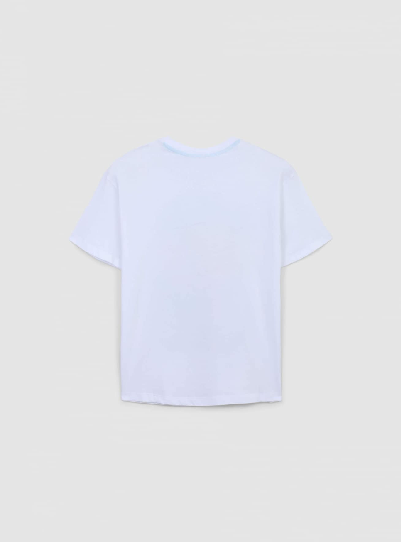 T-Shirt MC Chłopiec Terranova