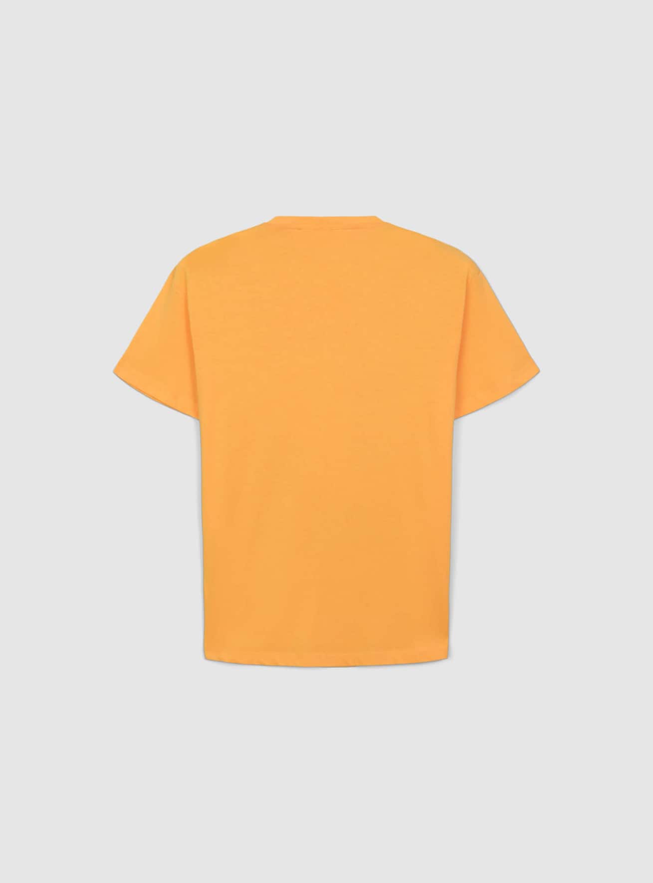 T-Shirt MC Garçon Terranova