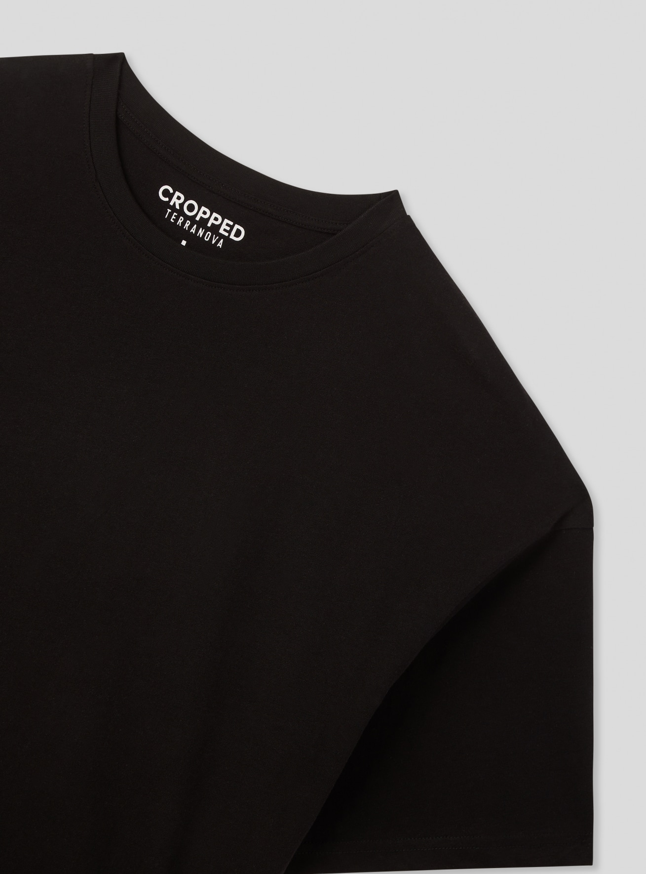 T-Shirt MC Homme Terranova