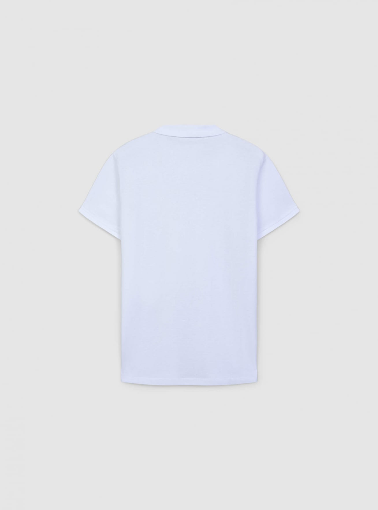 T-Shirt MC Homme Terranova