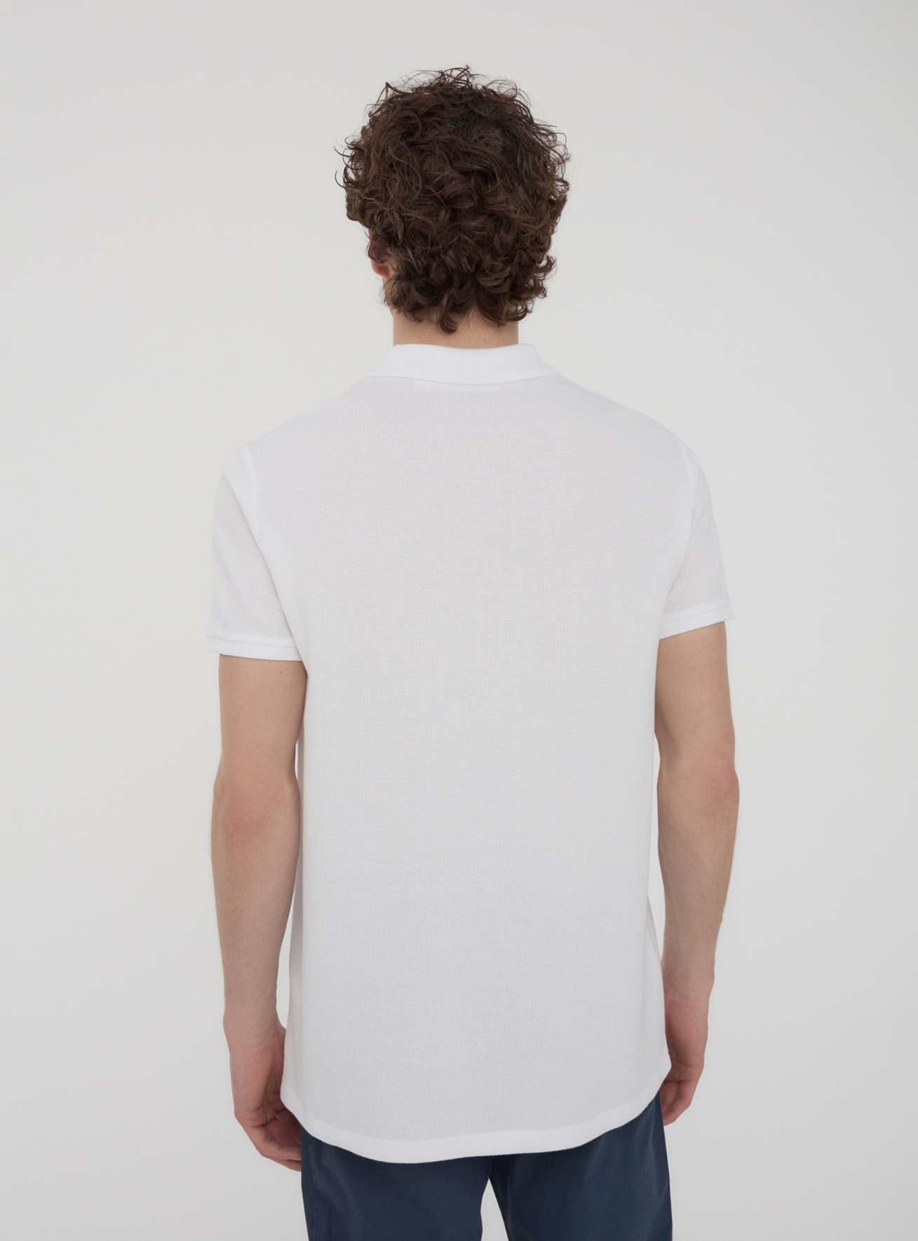 T-Shirt MC Homme Terranova