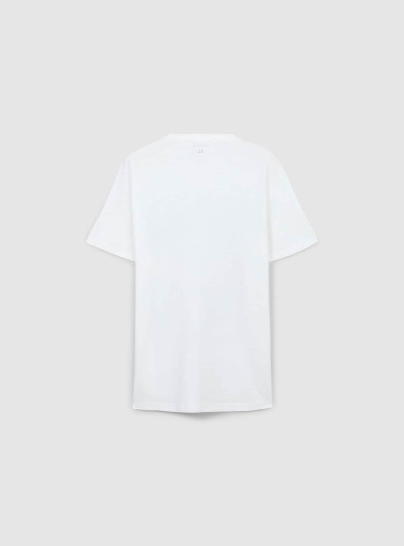 T-Shirt MC Uomo Terranova