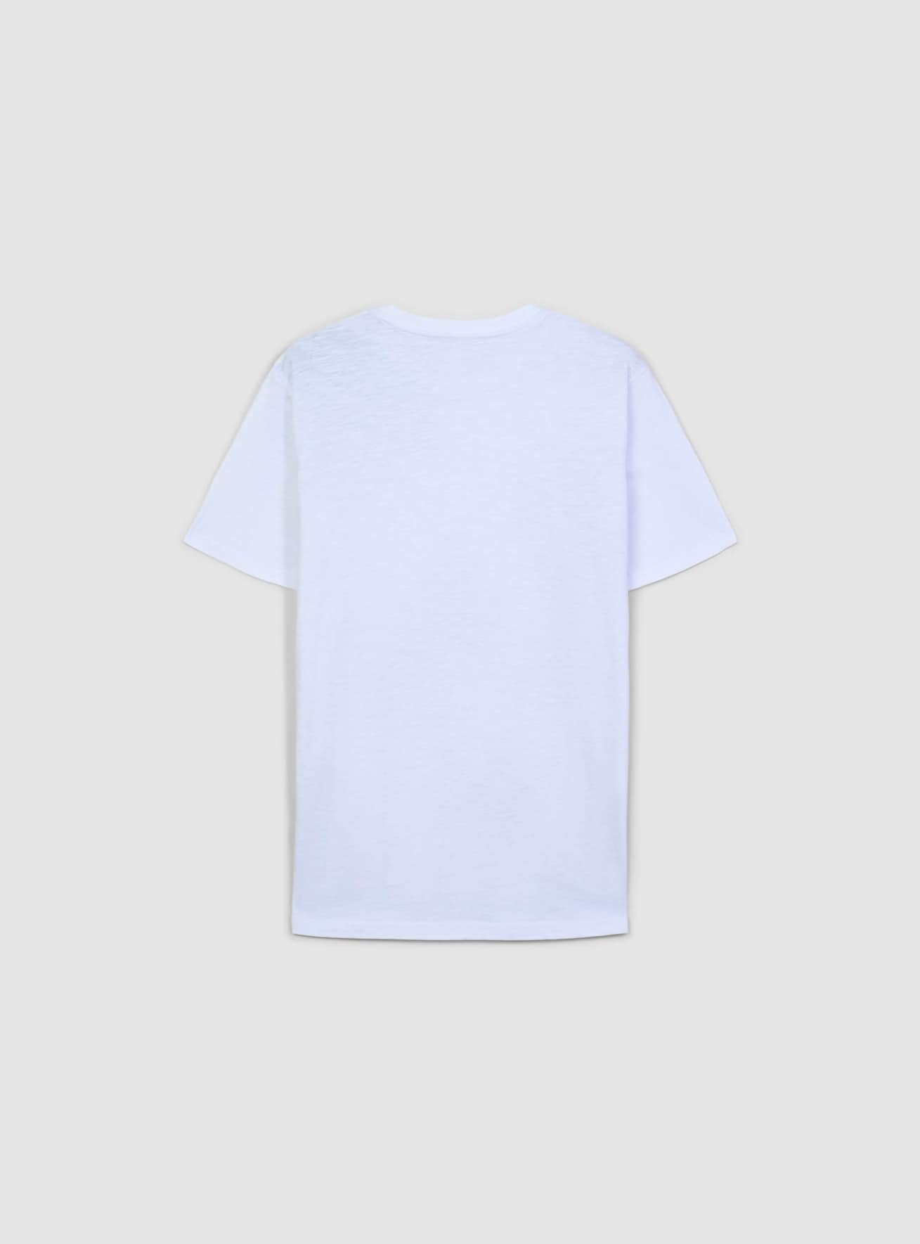 Short-sleeved T-shirt Man Terranova