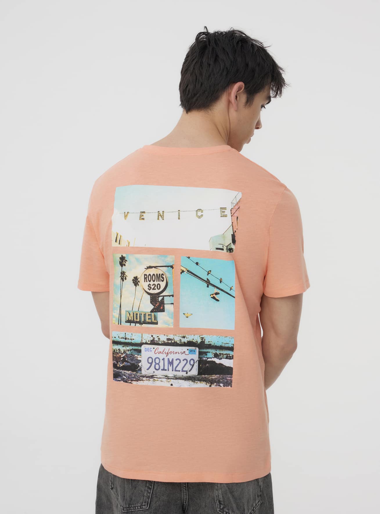 Camiseta manga corta Hombre Terranova