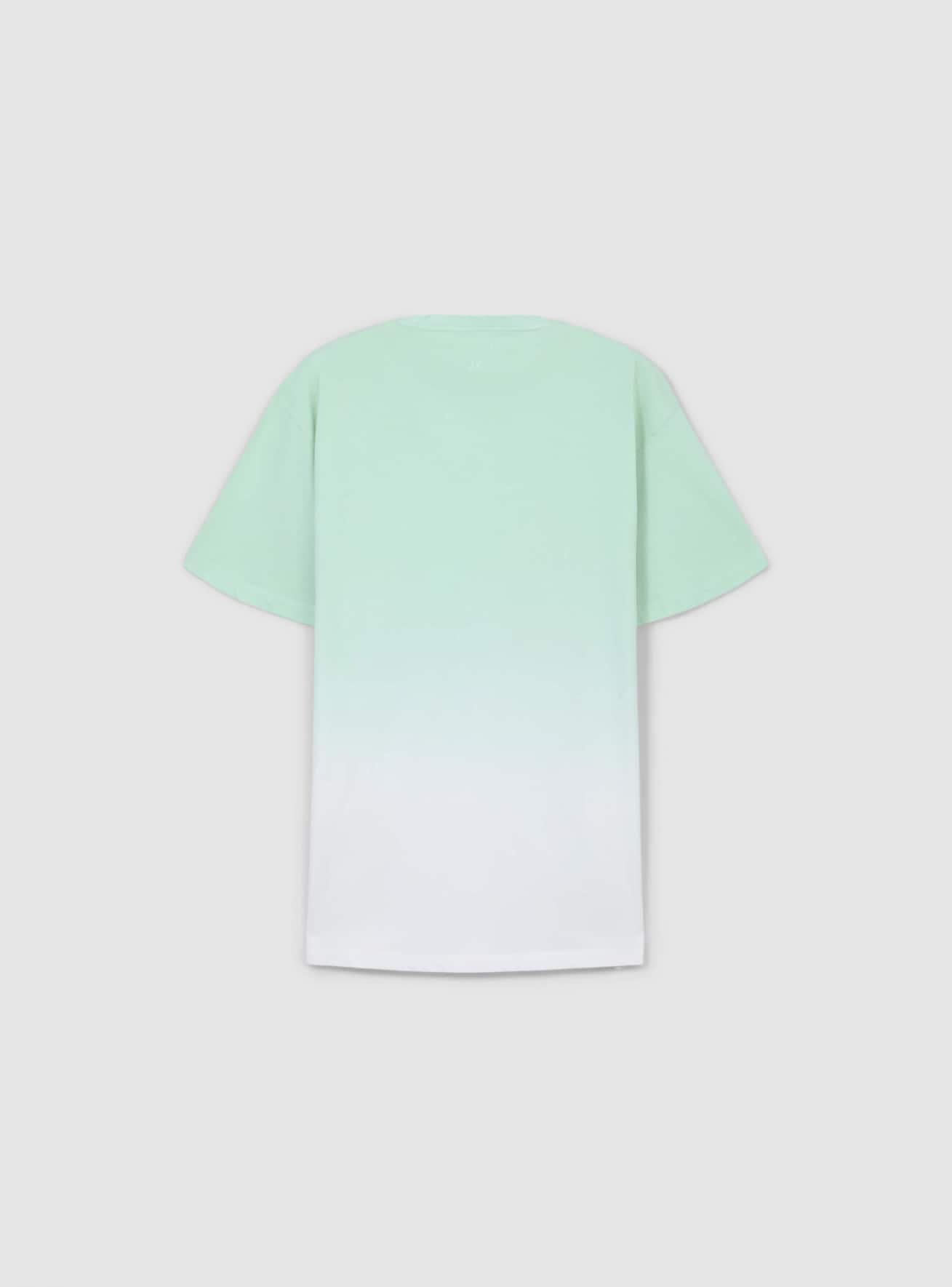T-Shirt MC Herren Terranova