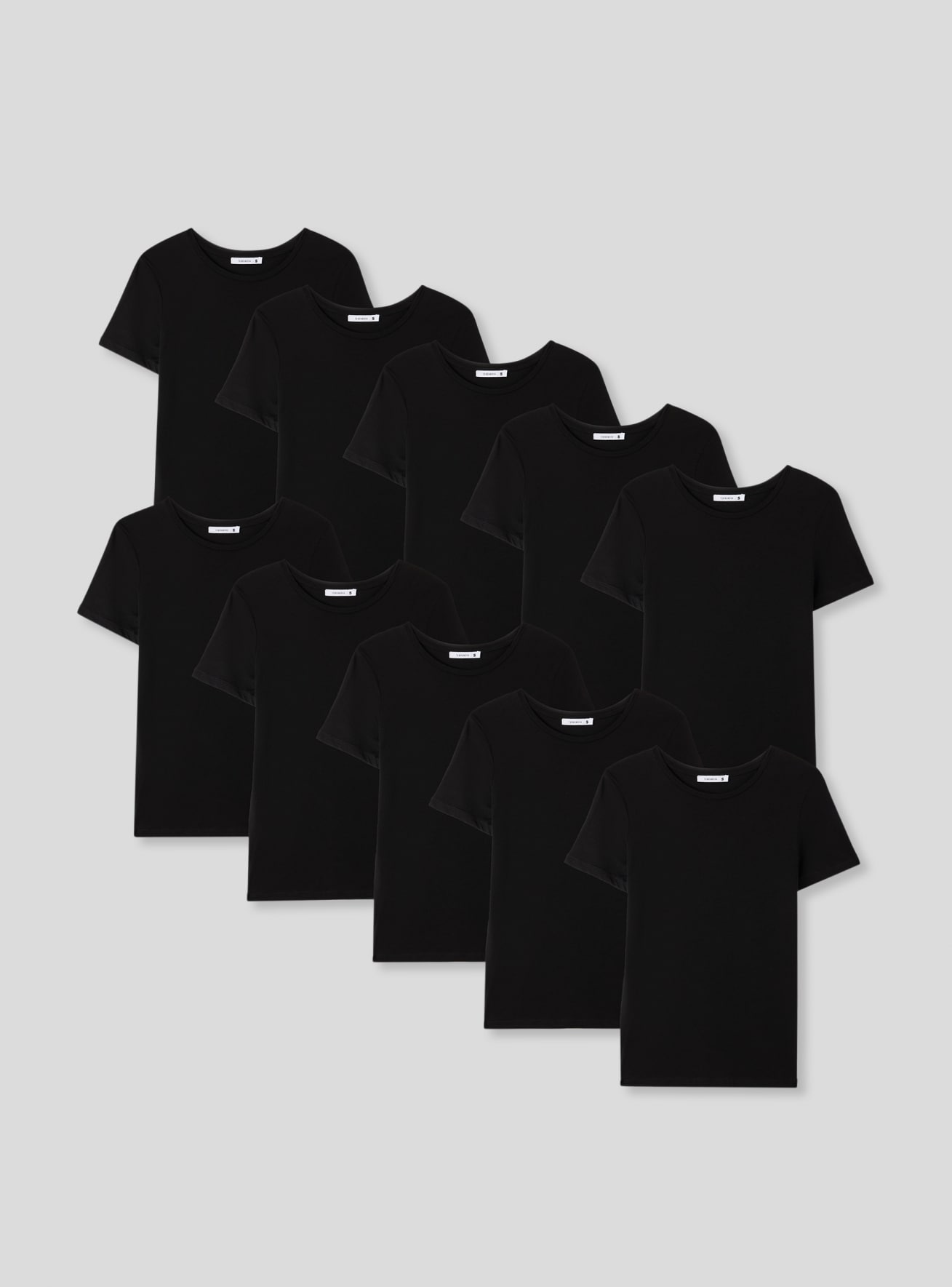 T-Shirt MC Damen Terranova