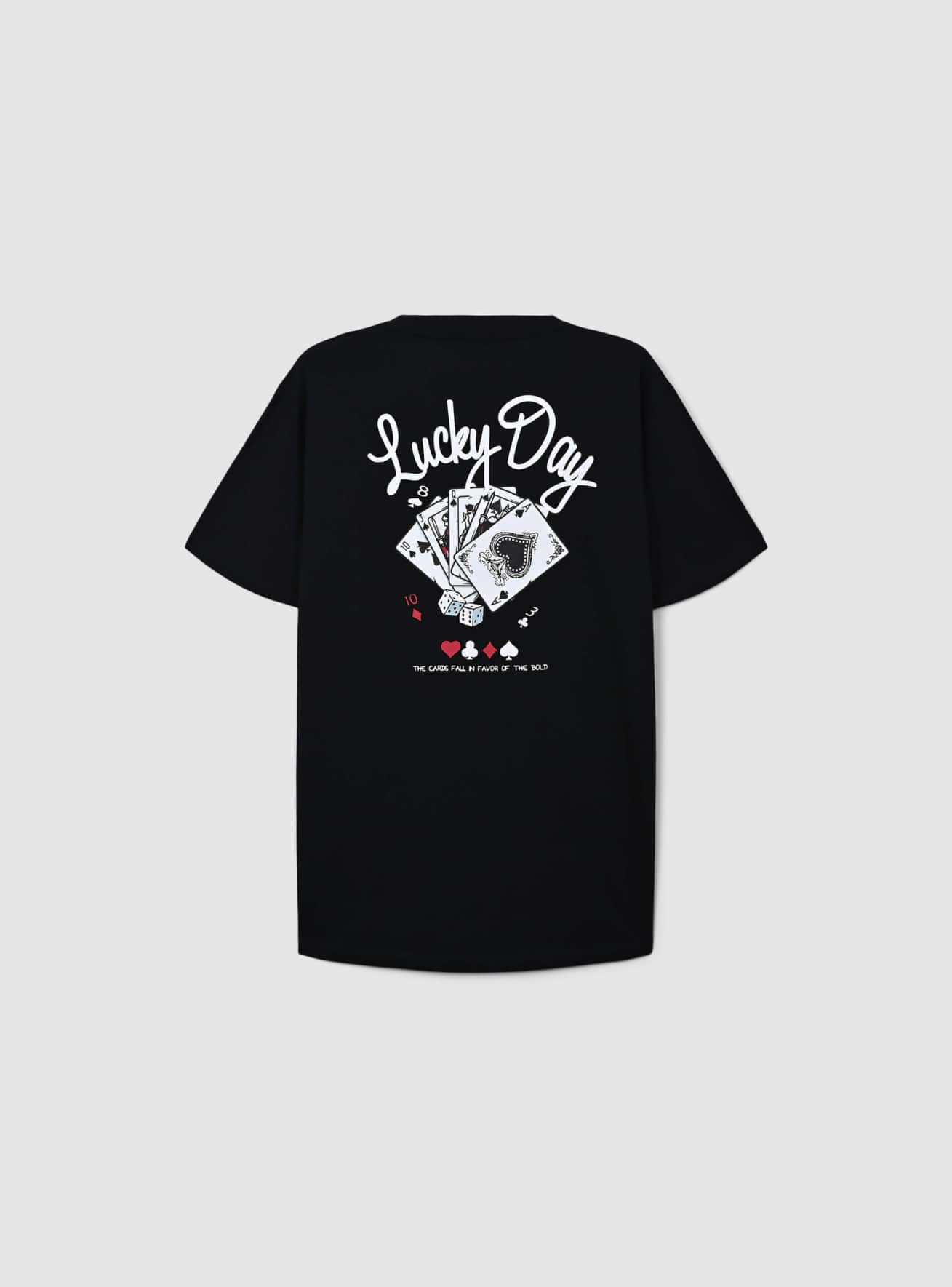 T-Shirt MC Pánské Terranova