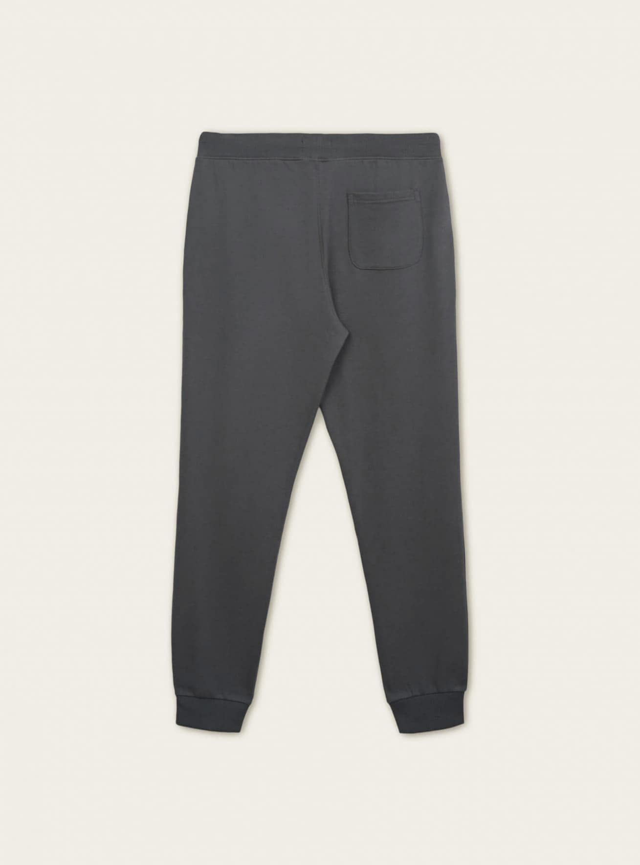 Duge sportske pantalone Muškarci Terranova