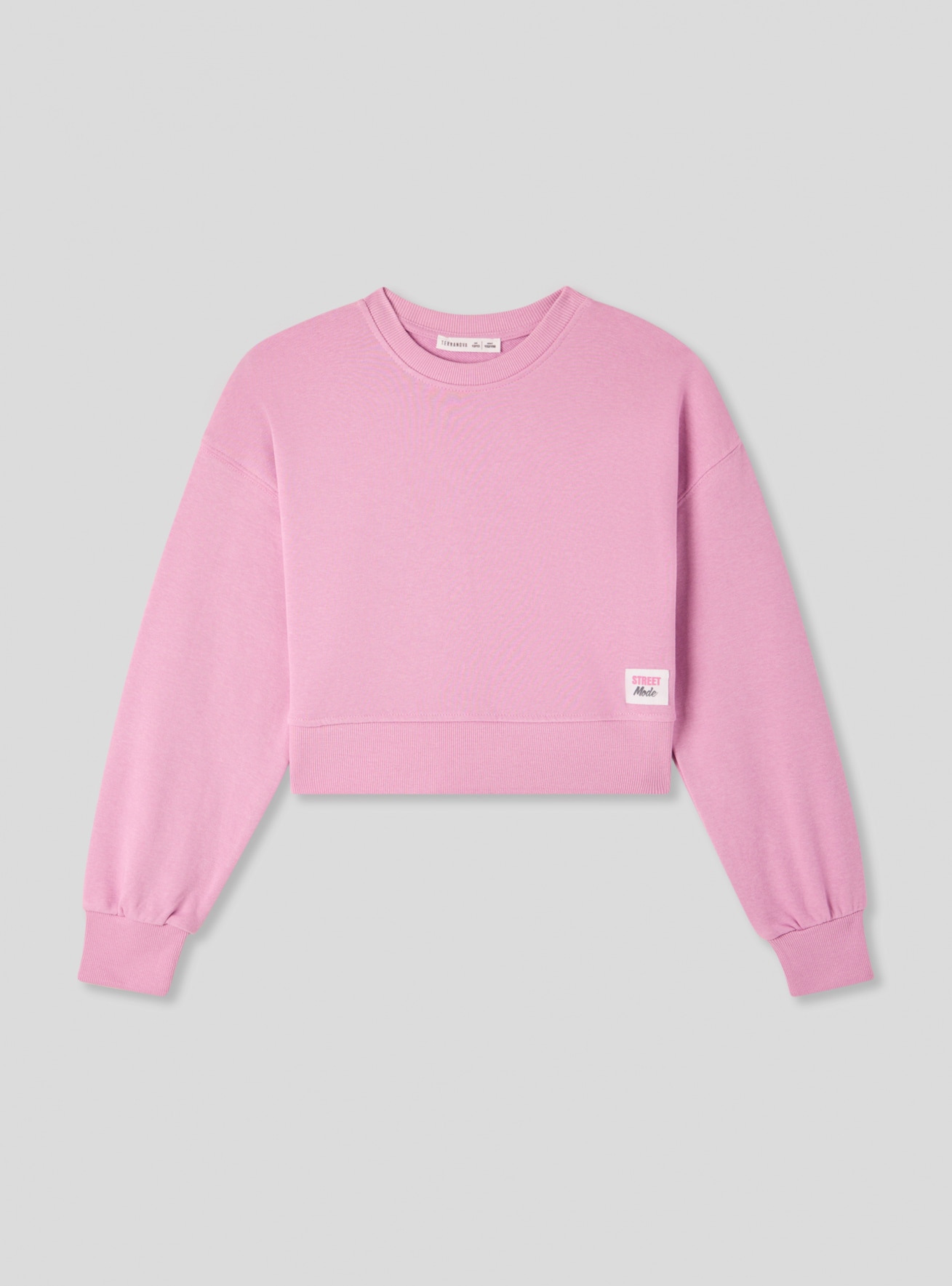 Bluza Dziewczynka Terranova