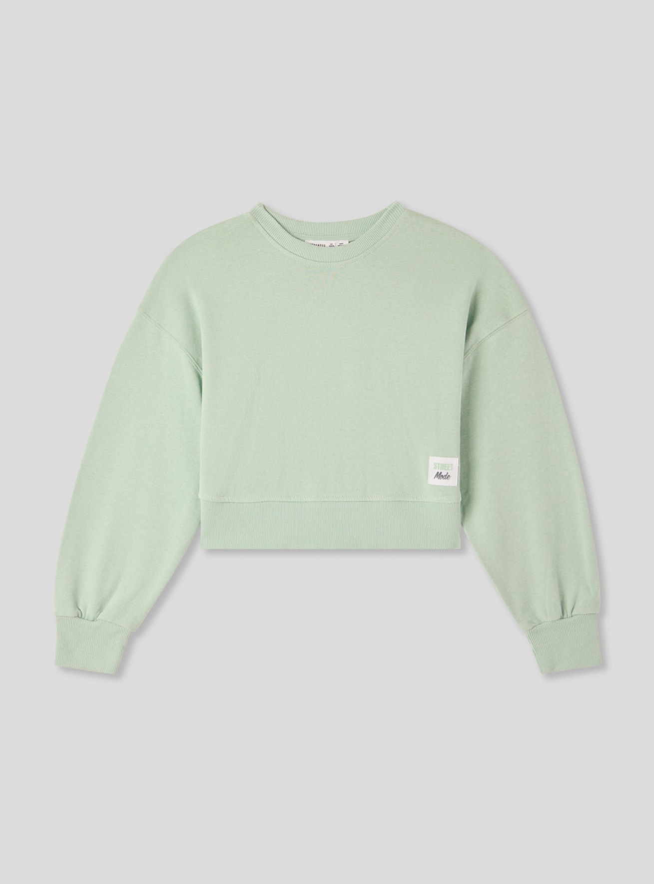 Bluza Dziewczynka Terranova