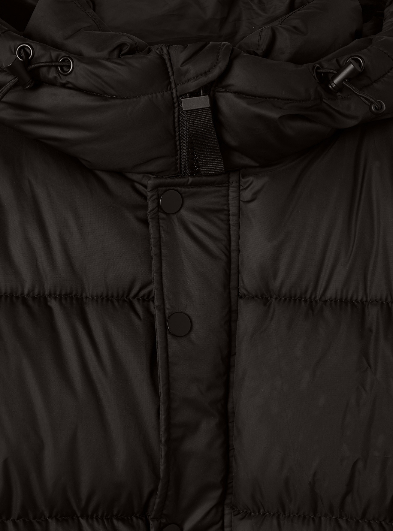 Outerwear Woman Terranova