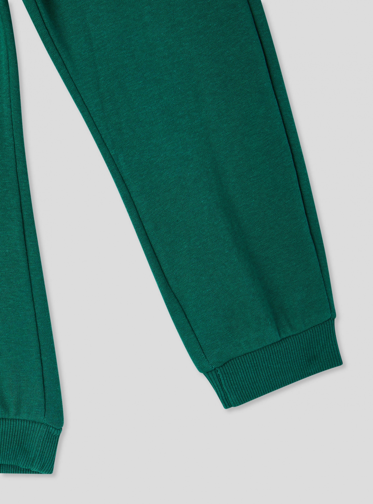 Full-length gym pants Boys Terranova
