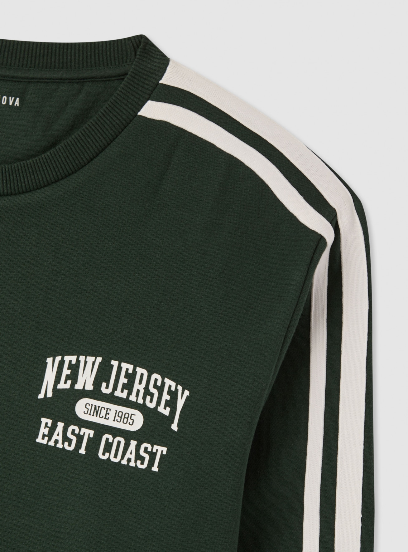 Sweat shirt Homme Terranova