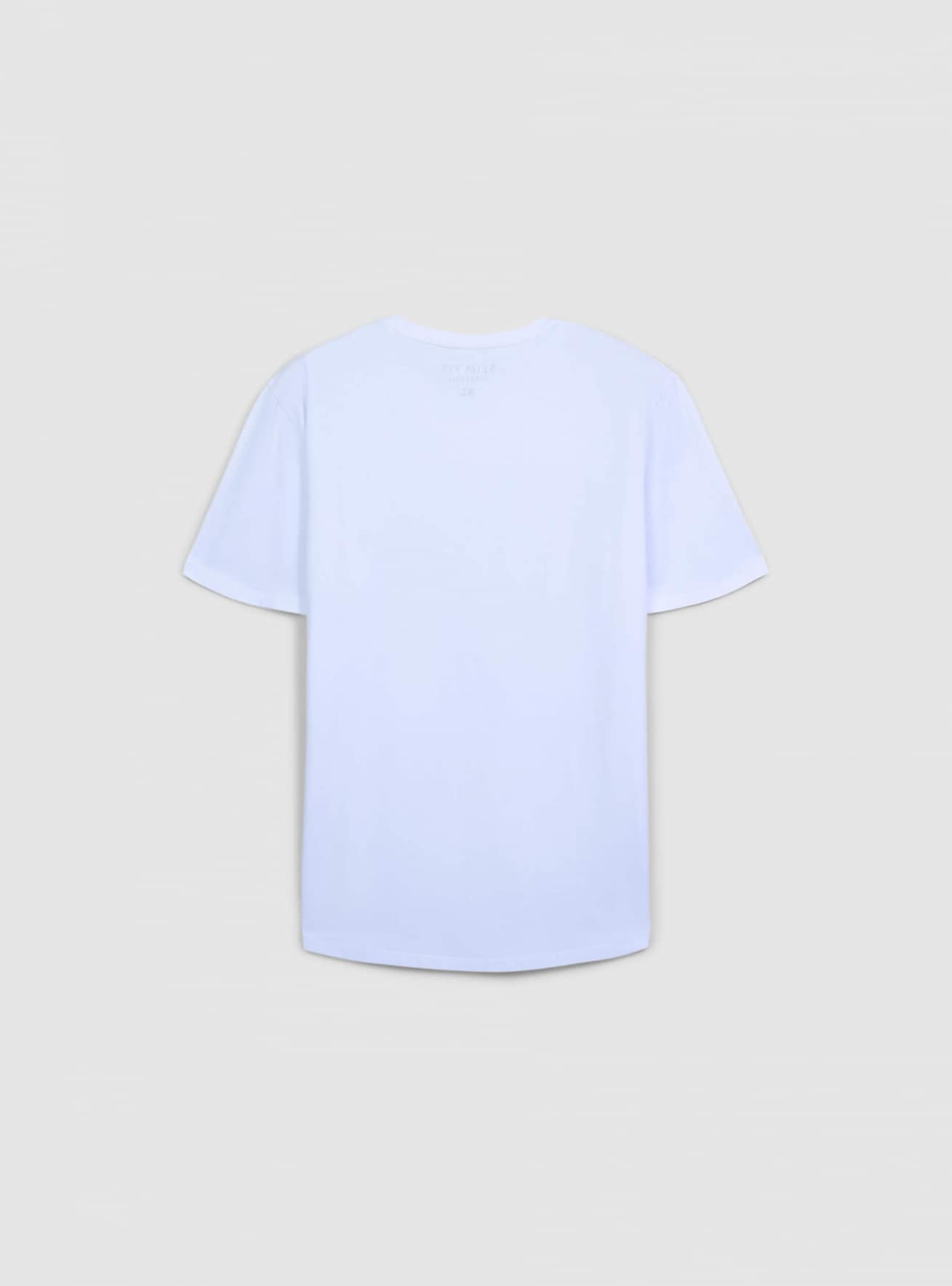 T-Shirt MC Herren Terranova
