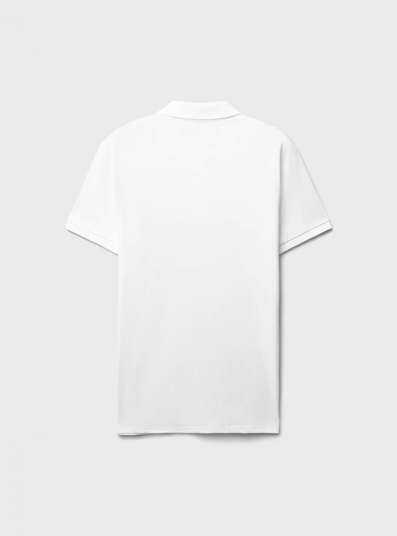 T-Shirt MC Uomo Terranova