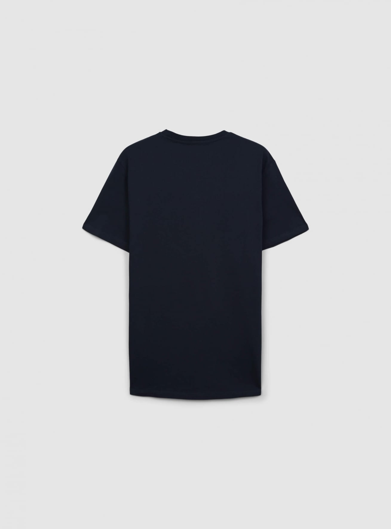 T-Shirt MC Homme Terranova