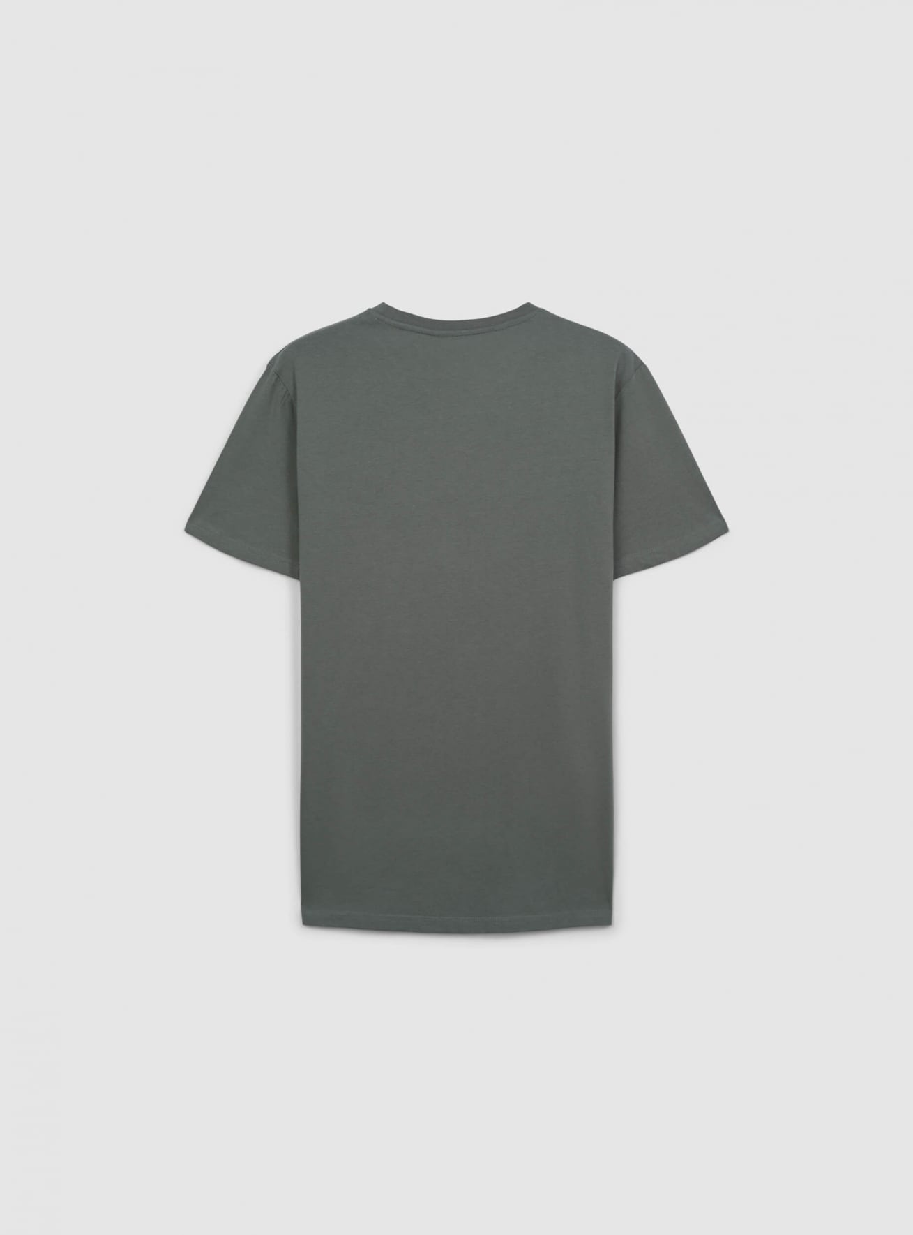 T-Shirt MC Homme Terranova