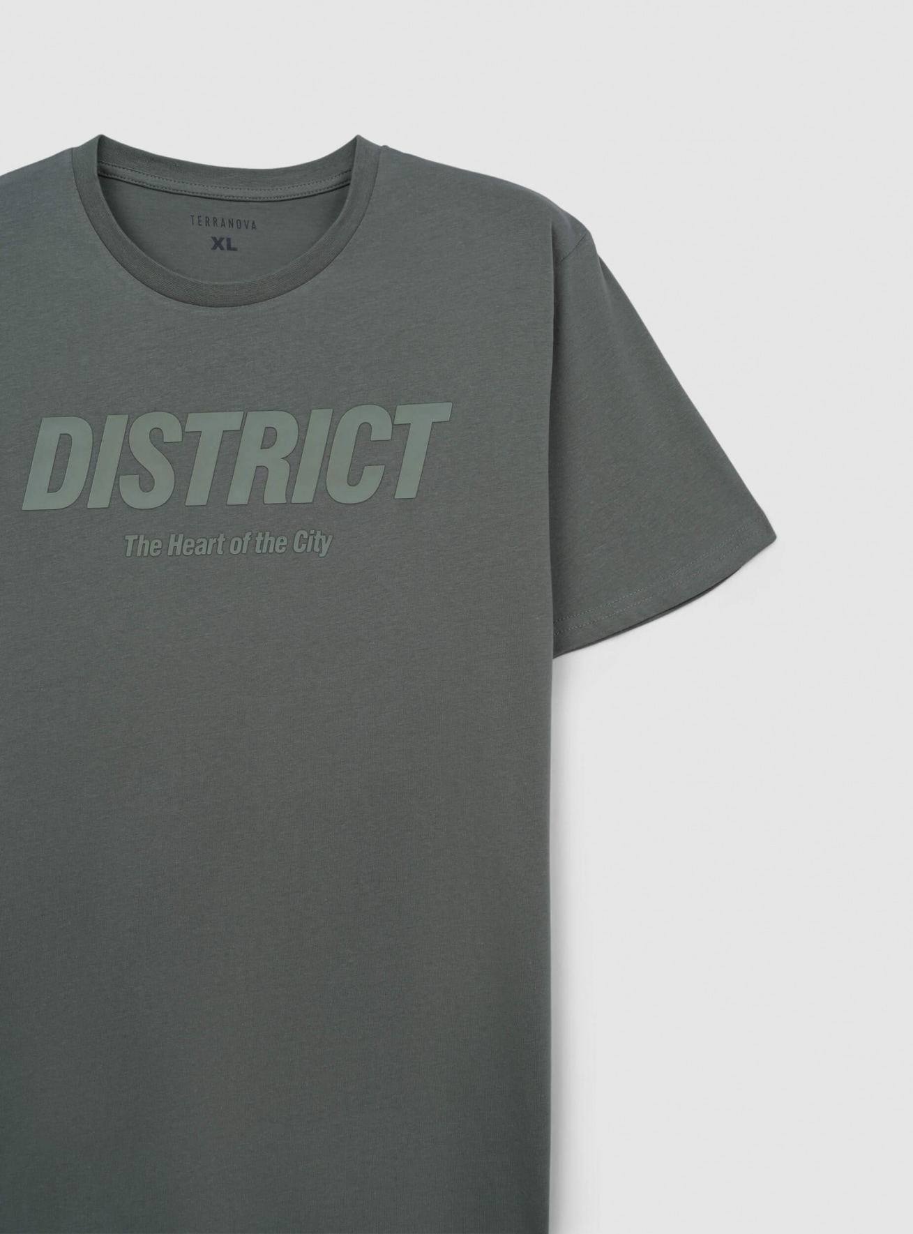 T-Shirt MC Homme Terranova