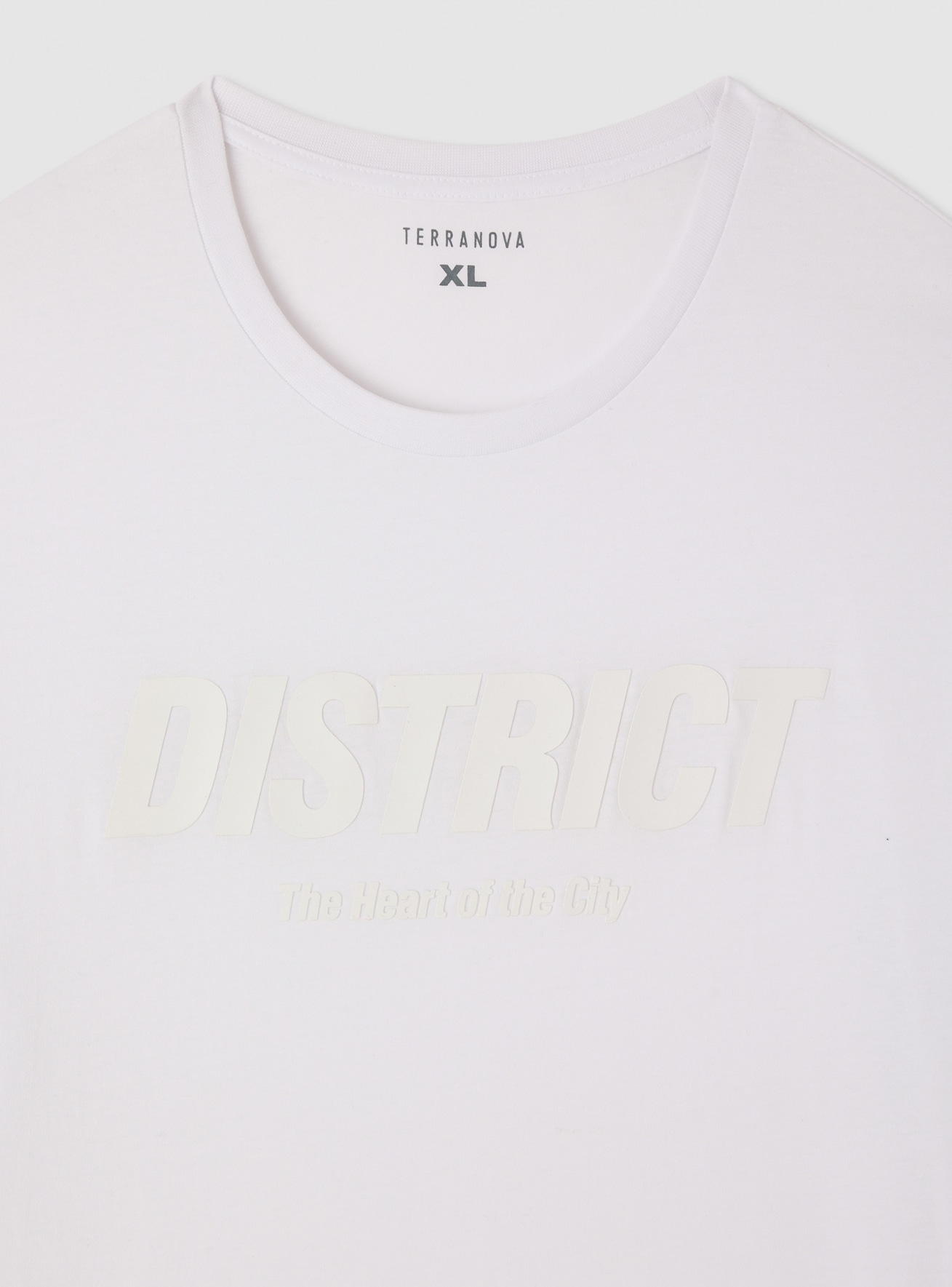 T-Shirt MC Homme Terranova