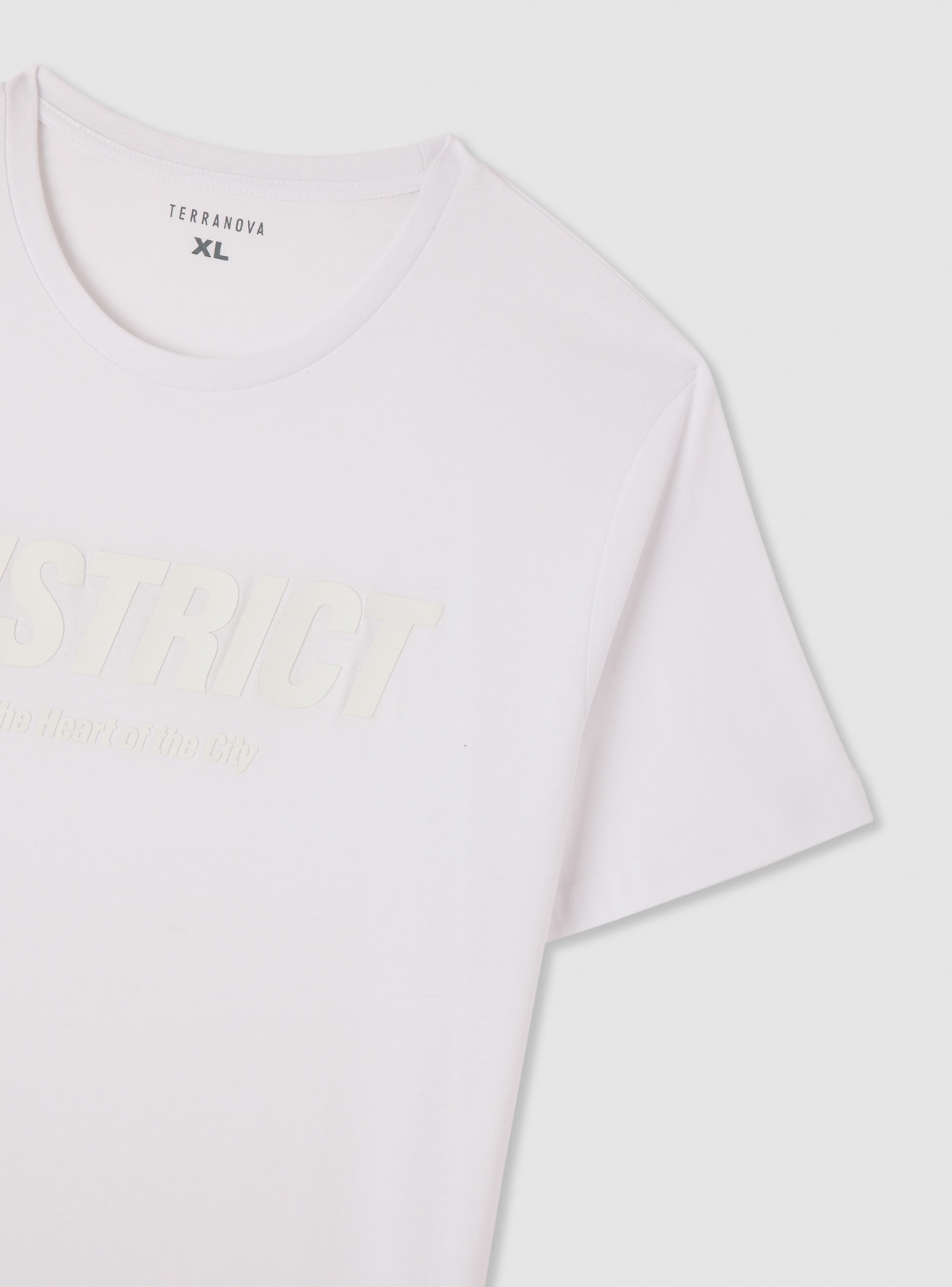 T-Shirt MC Homme Terranova