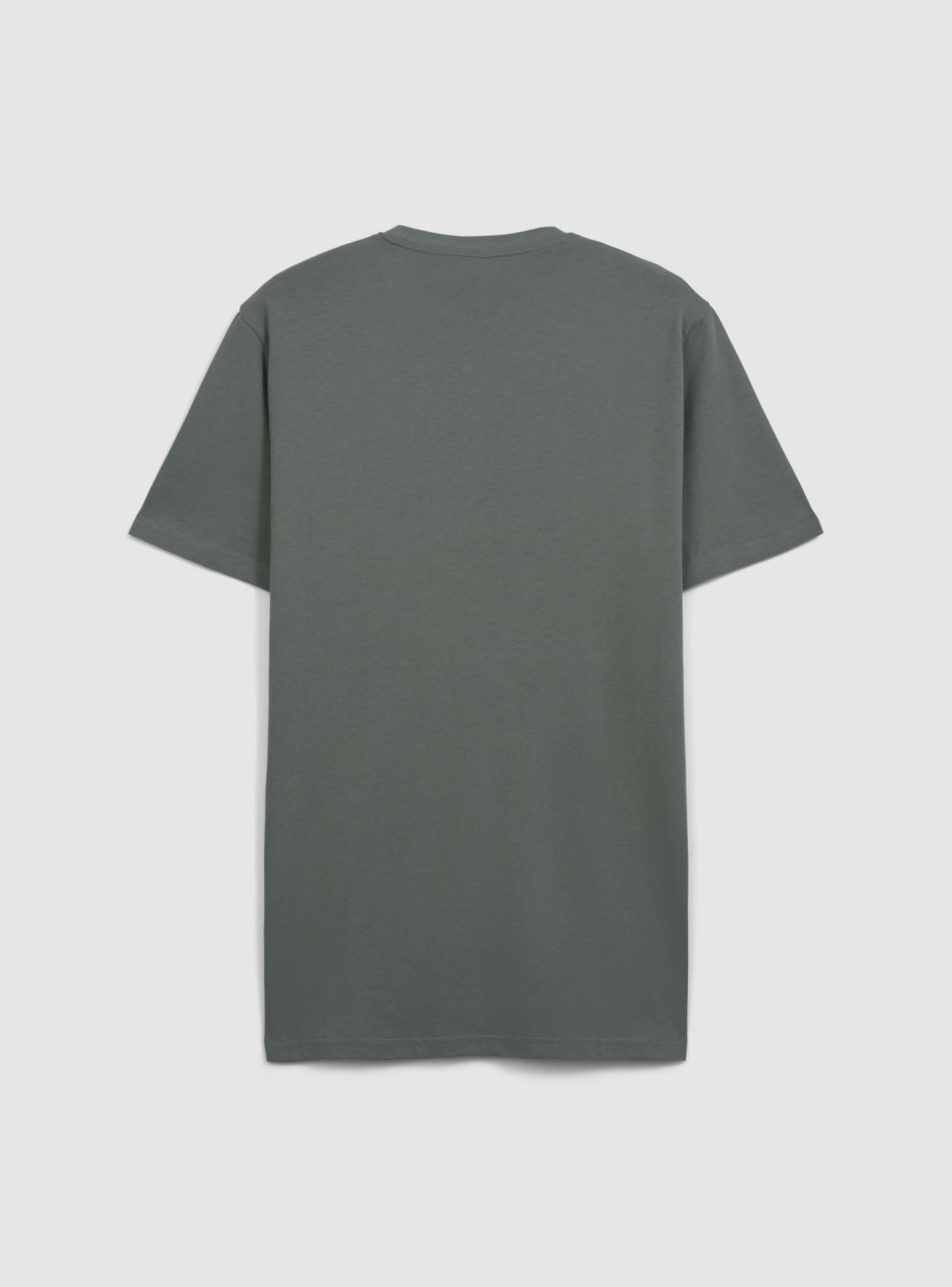 T-Shirt MC Herren Terranova