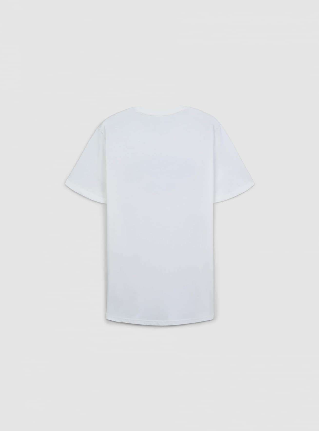 Short-sleeved T-shirt Man Terranova