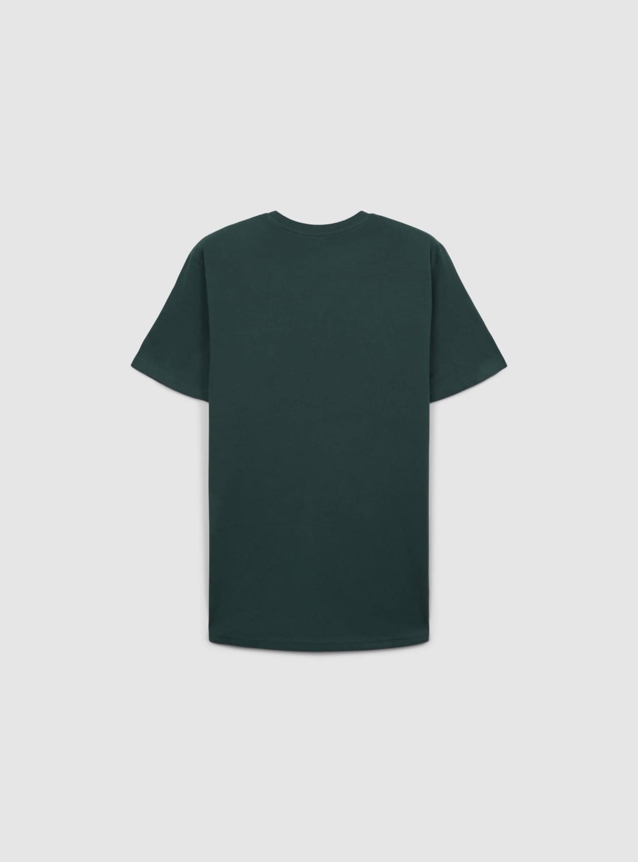 T-Shirt MC Homme Terranova