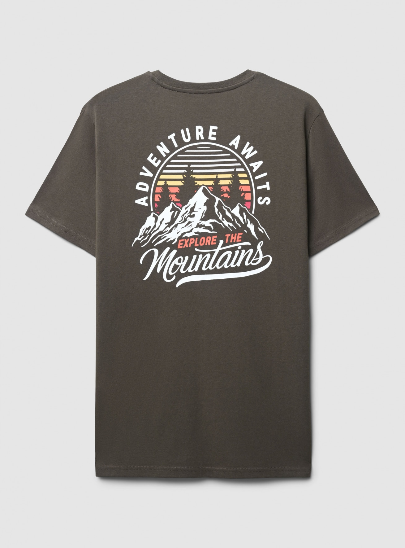 T-Shirt MC Uomo Terranova